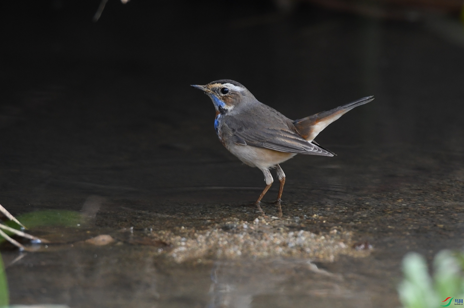 DSC_3496.jpg