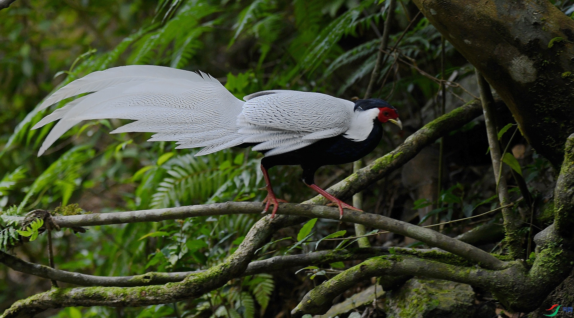 DSC_8694.jpg