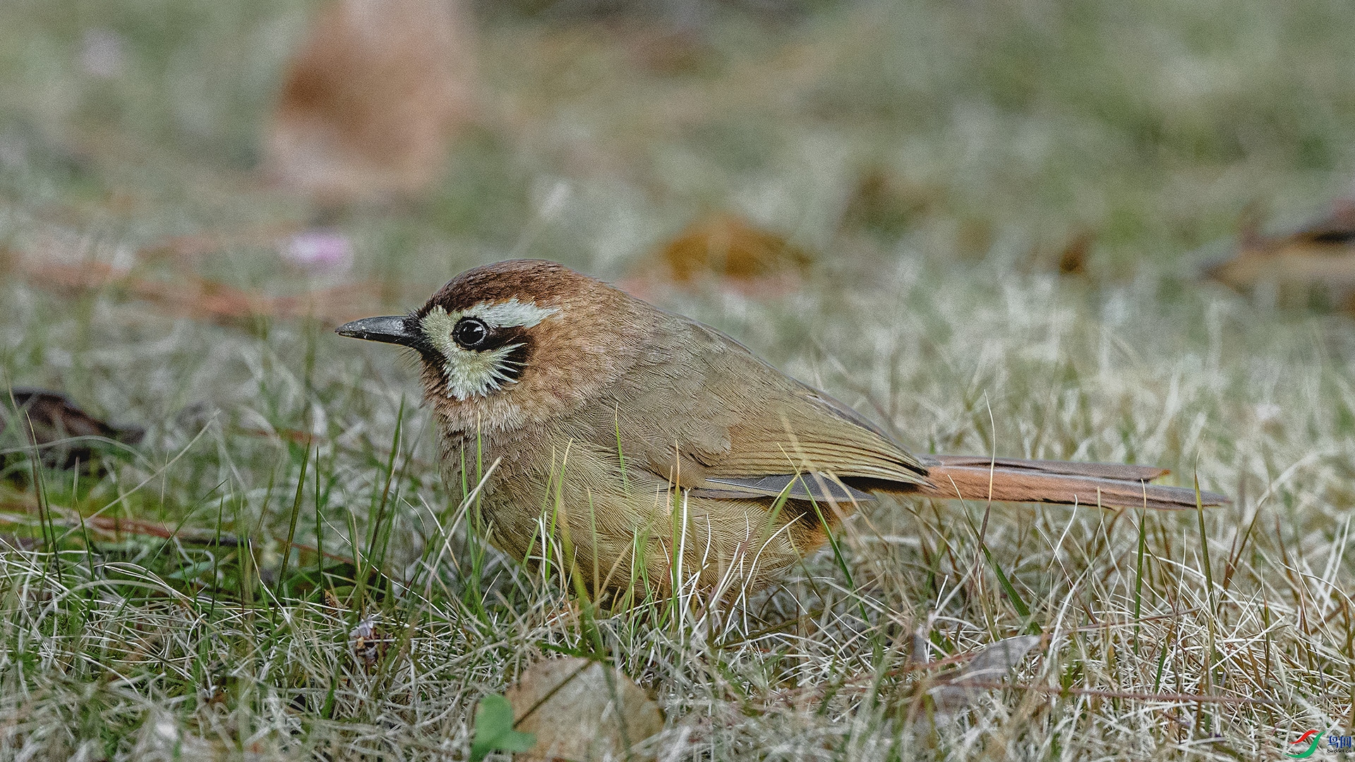 DSC_3092 ����.jpg