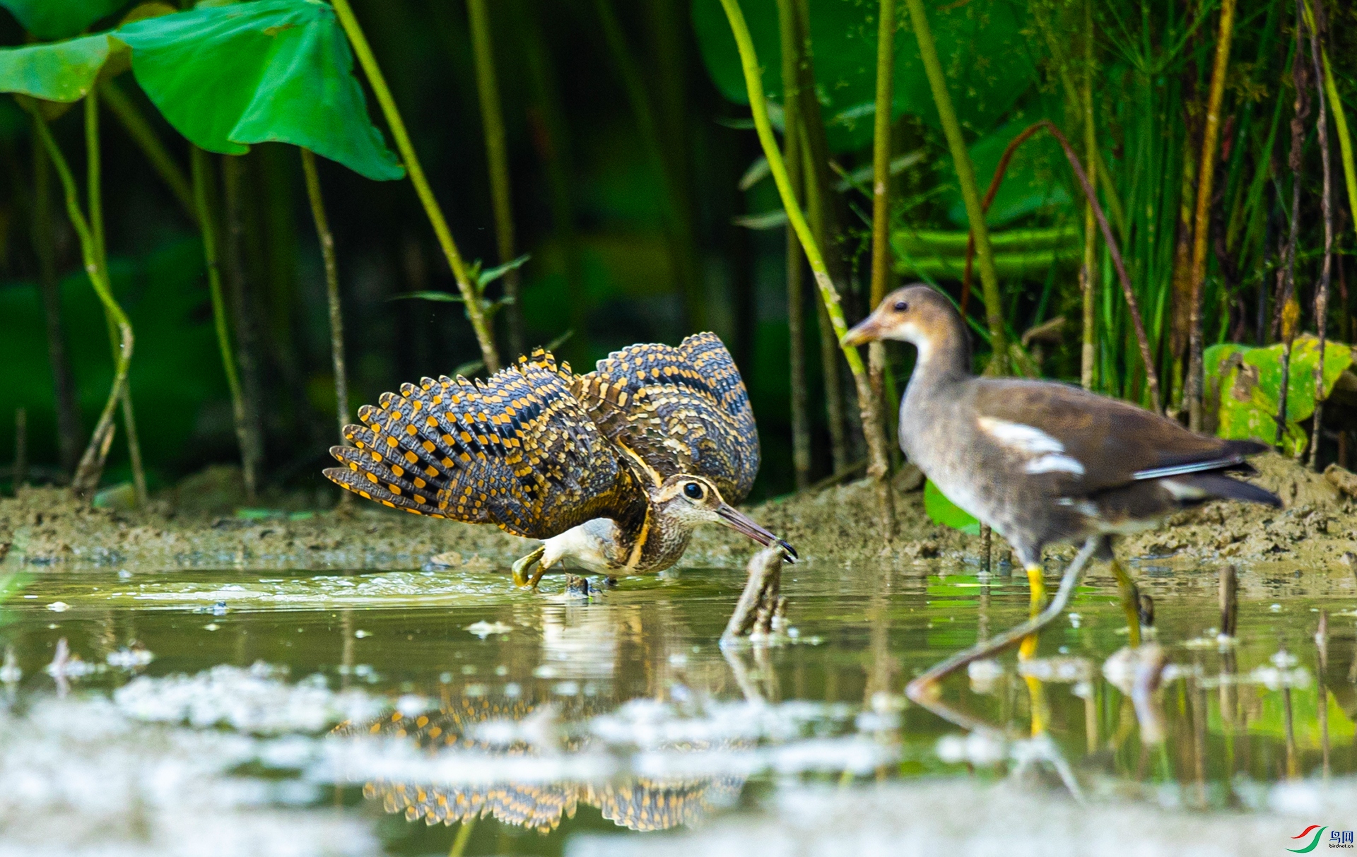 066A3086 ����.jpg