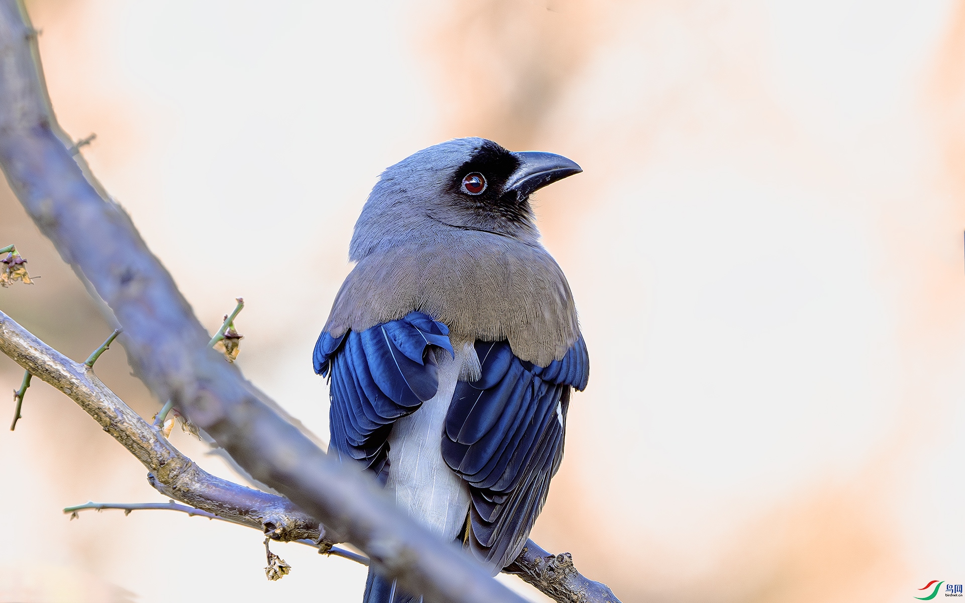 DSC_3103.jpg