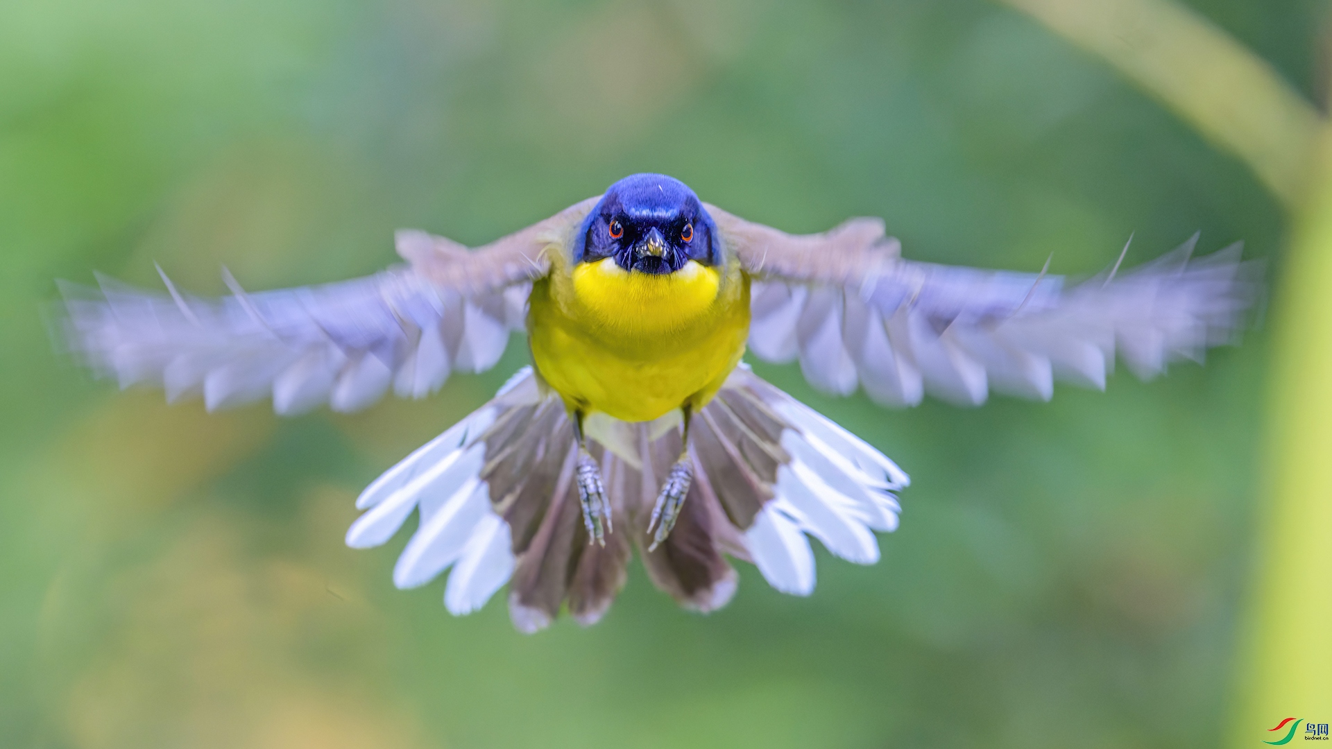 _DSC6623-NEF_DxO_DeepPRIME.jpg