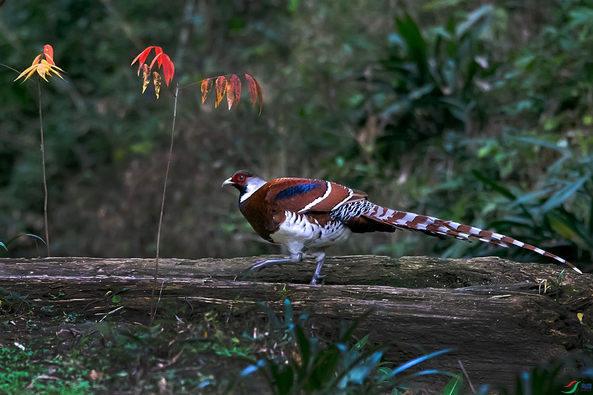 AW8Z5208 ����_����.jpg