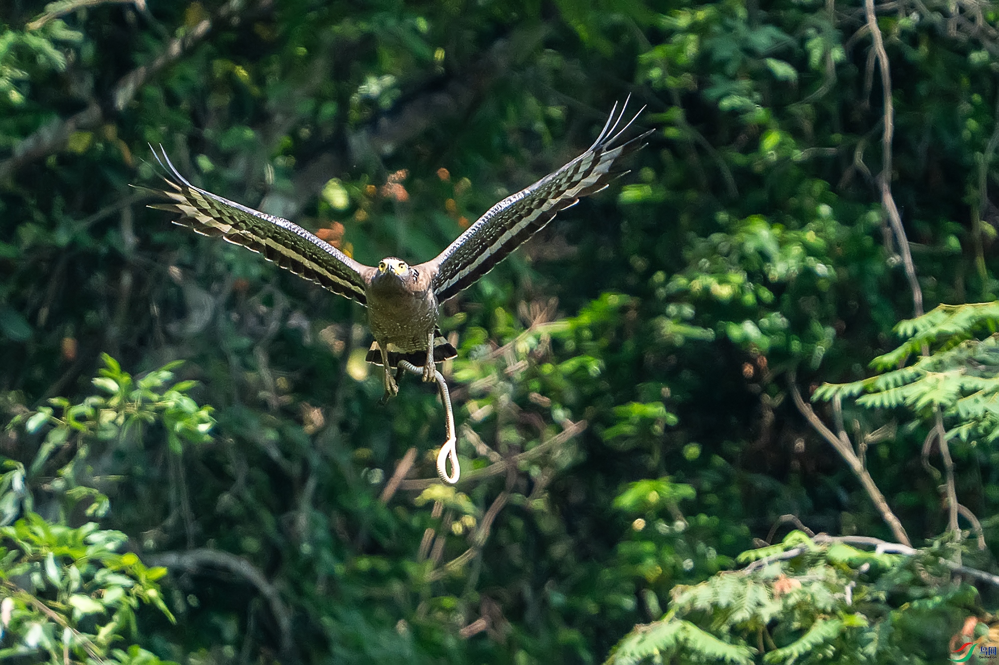 DSC07249 ����111.jpg