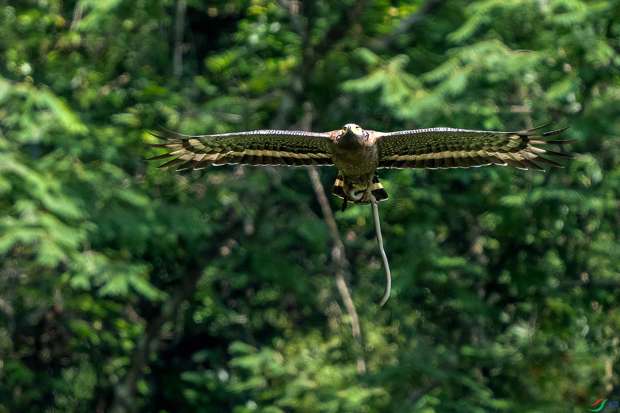 DSC07254 ����2.jpg