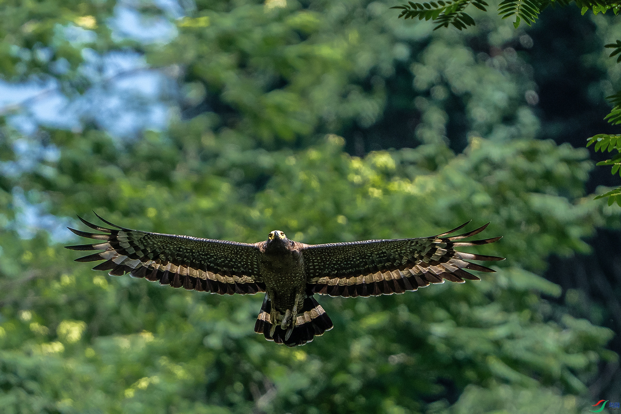 DSC07279 ����2.jpg