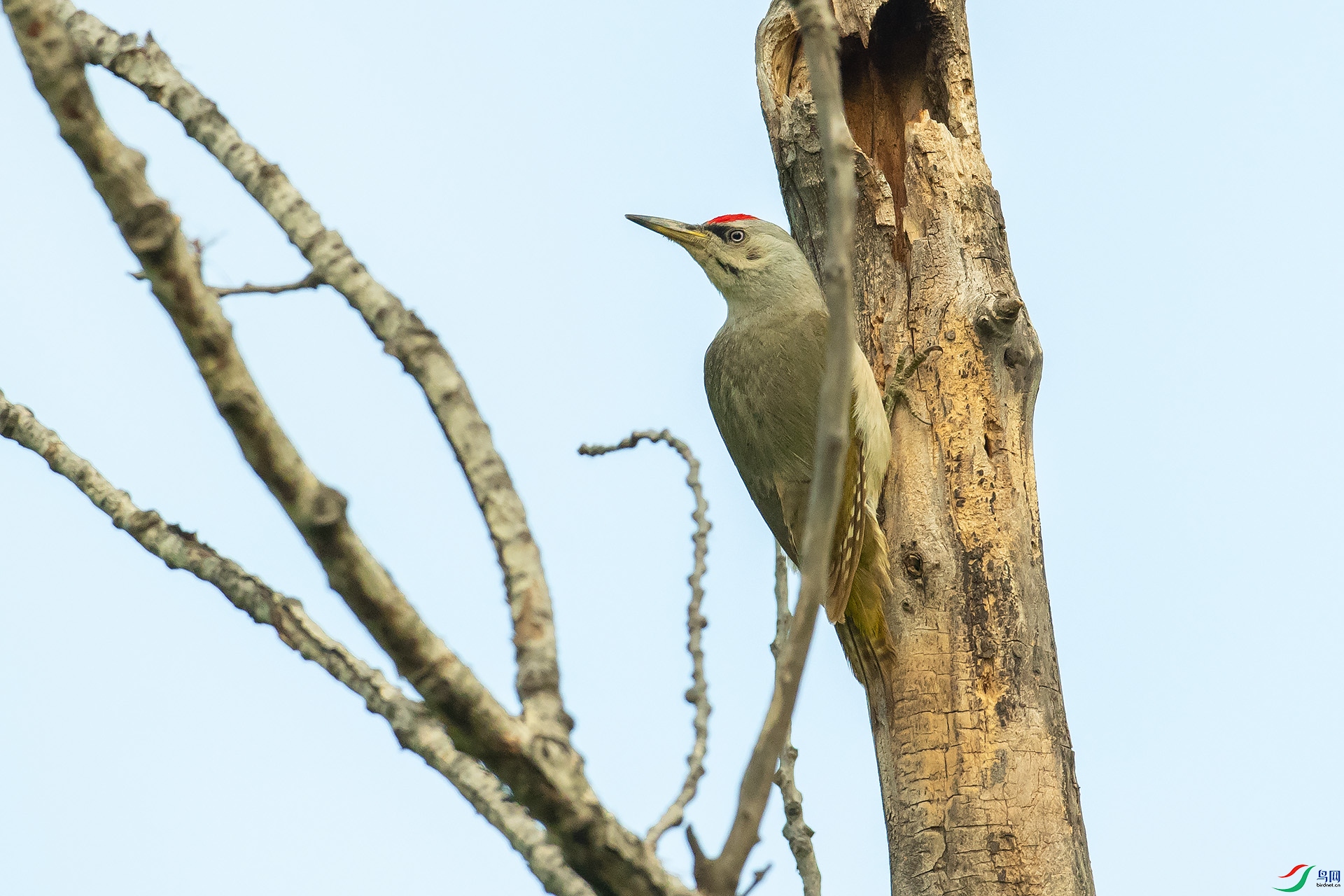 DSC_1056.jpg