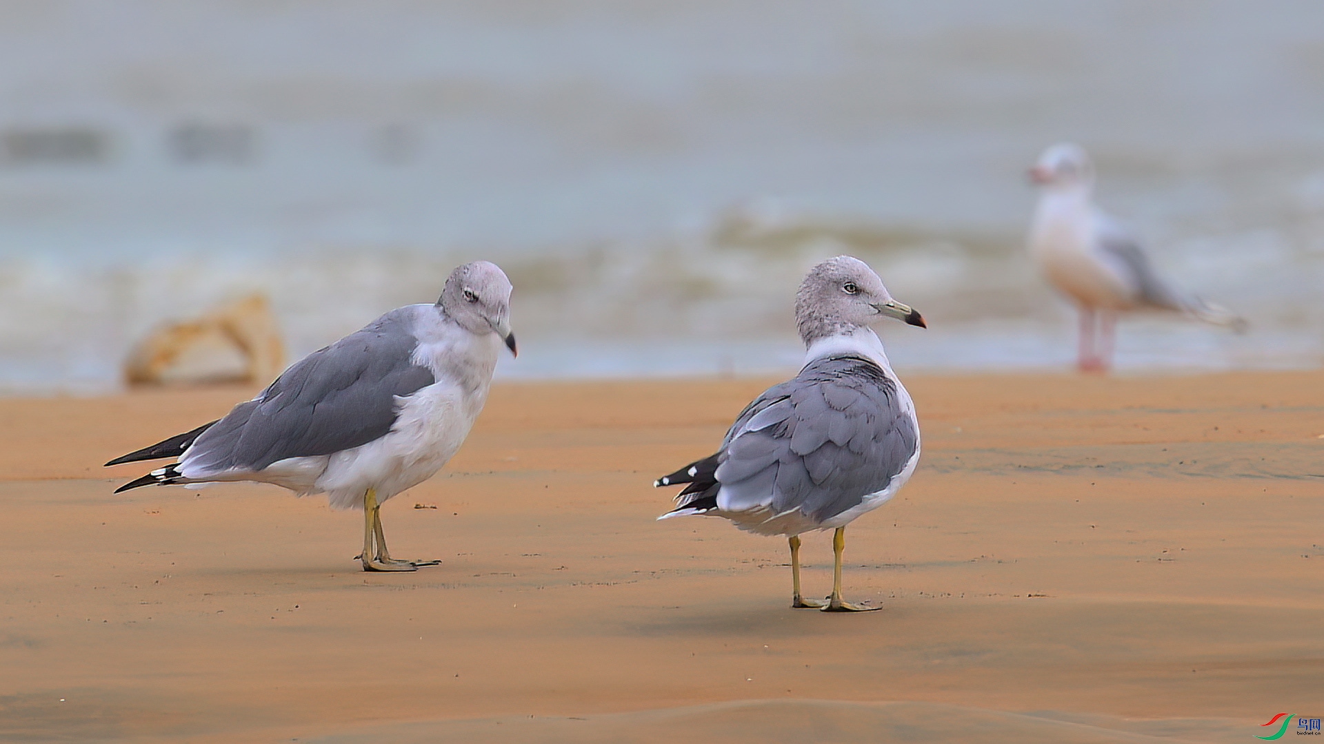 3��3�� (1)(1).jpg