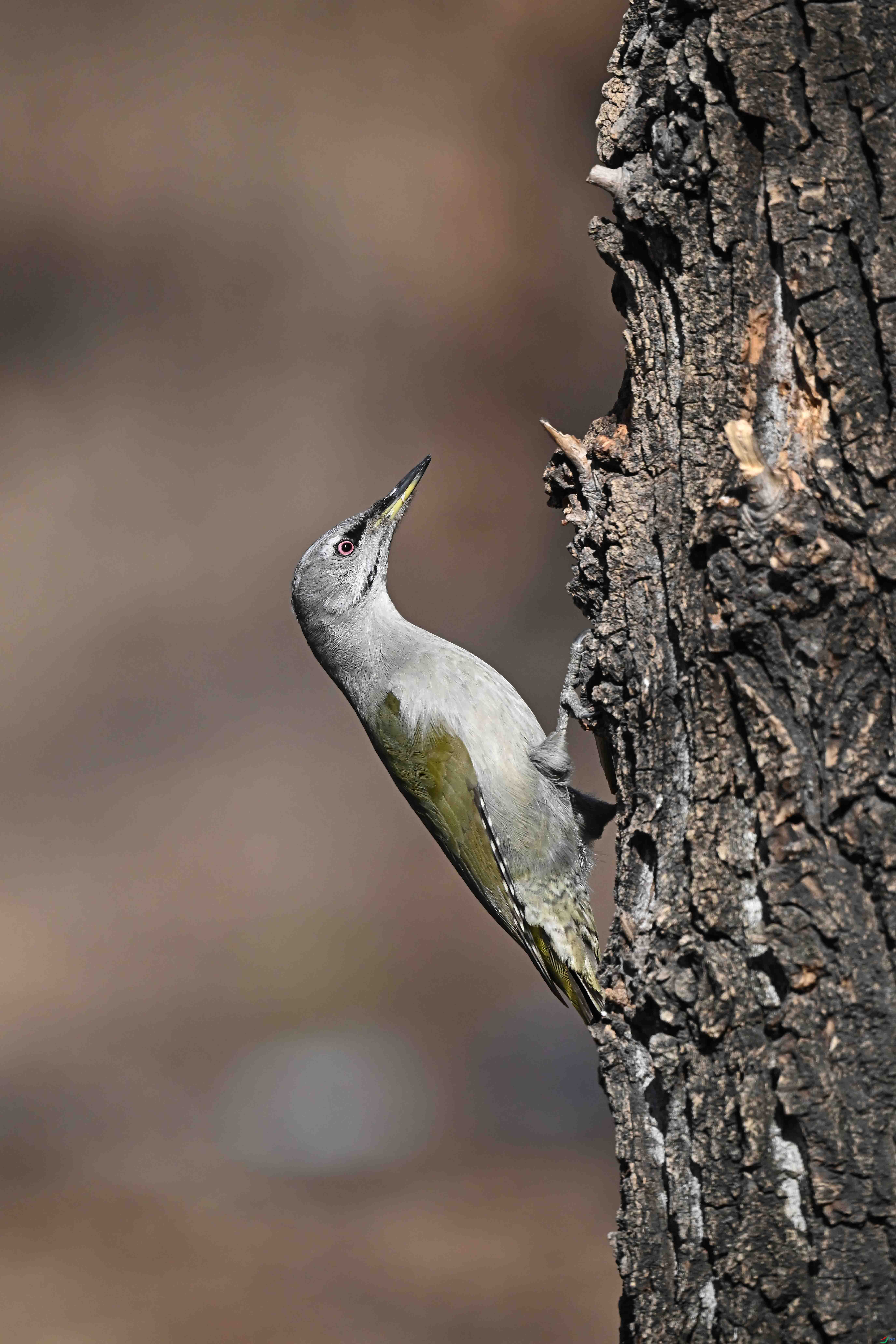 LWG_6274  ����2.jpg