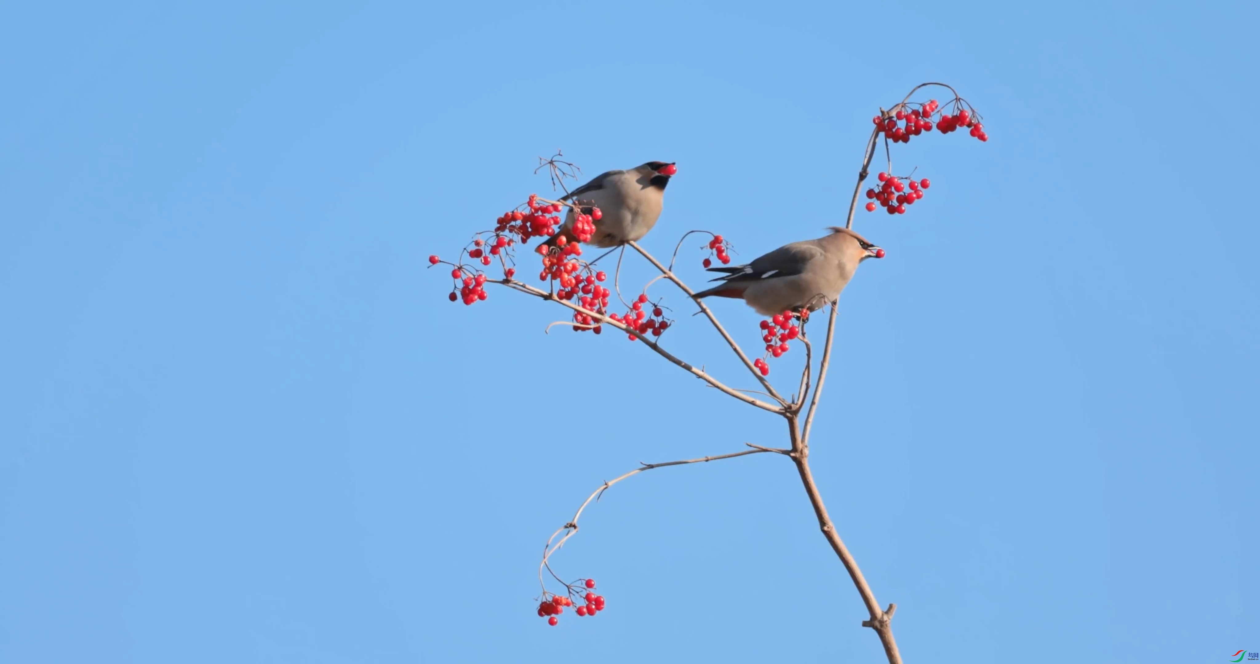 ��֡ 2026-03-11 180824_1.1.18.jpg