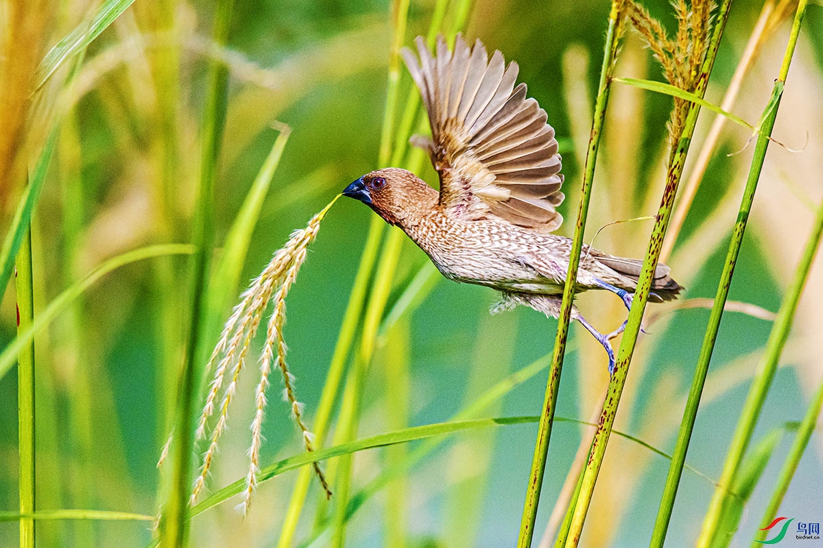 DSC_6538.jpg