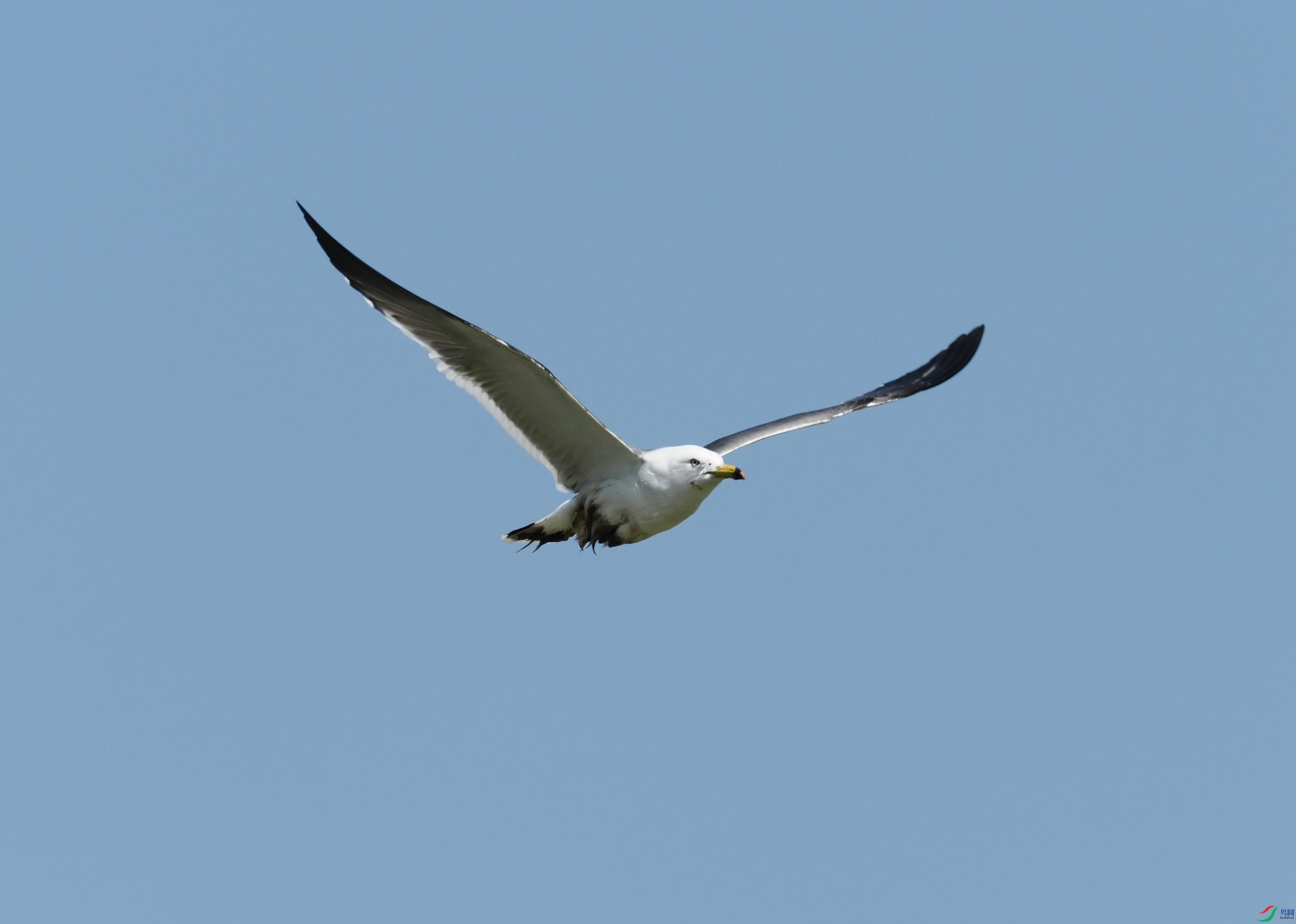 P3116475(1).jpg