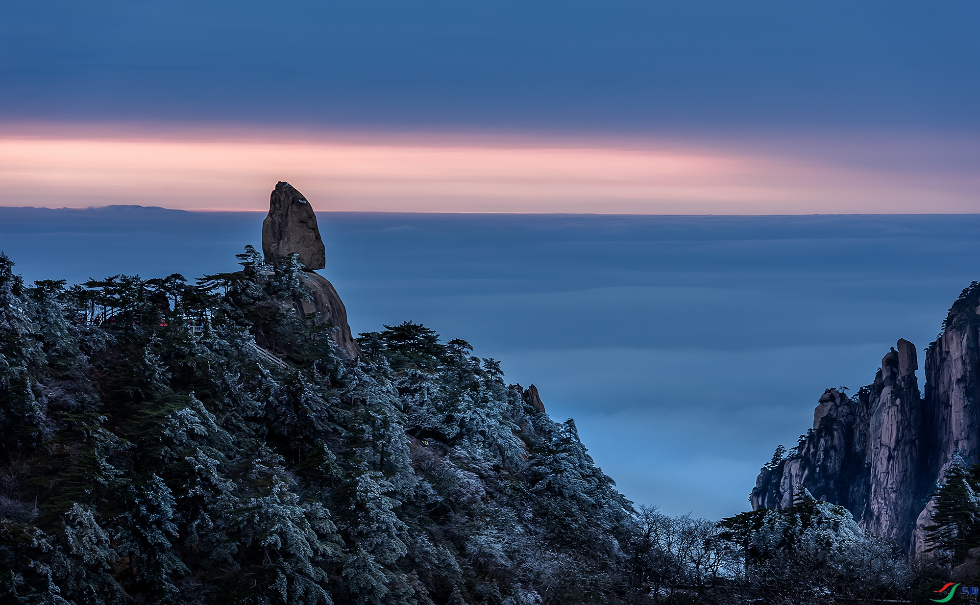 _DSC4959a ����.jpg