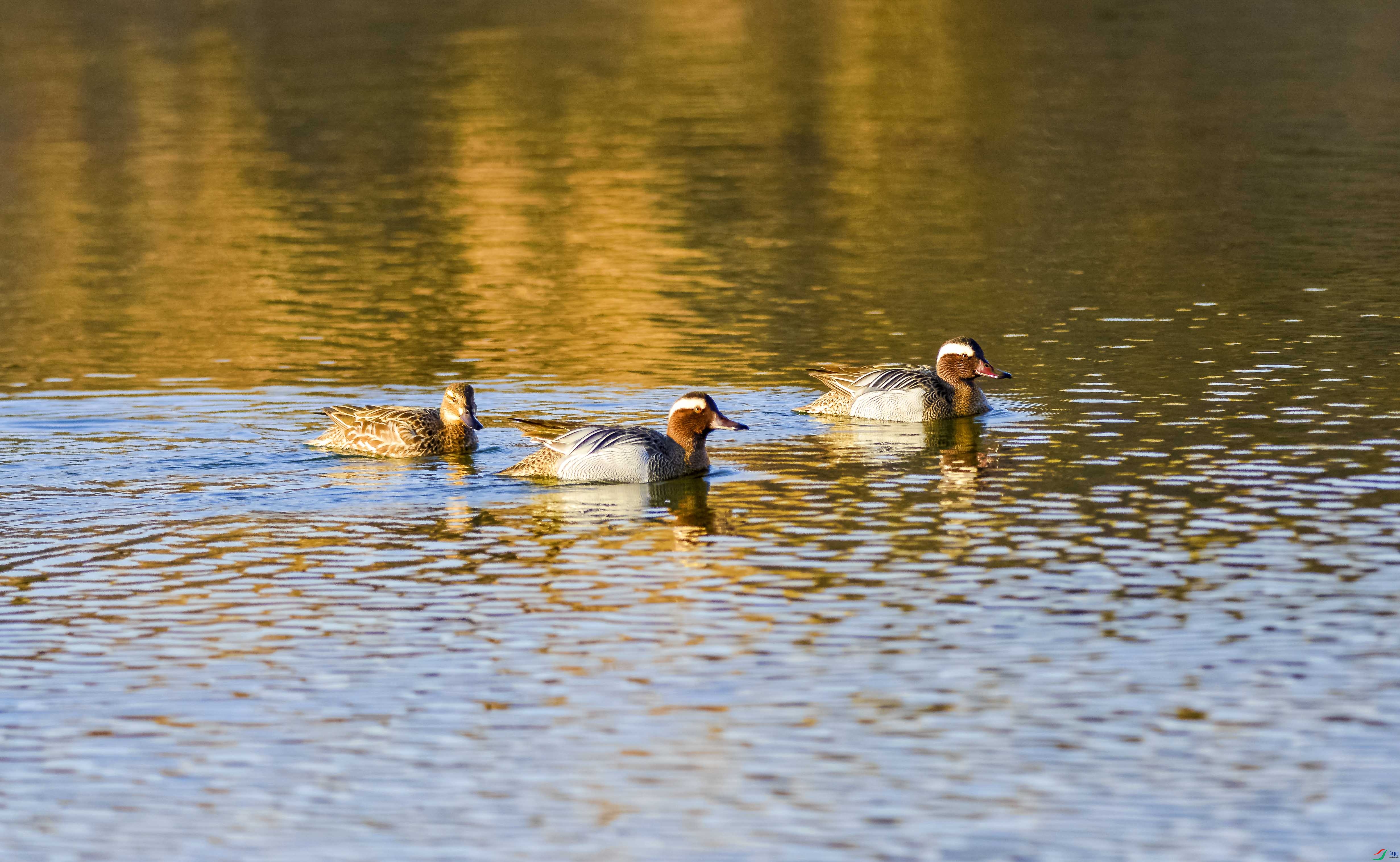 DSC_6813.jpg