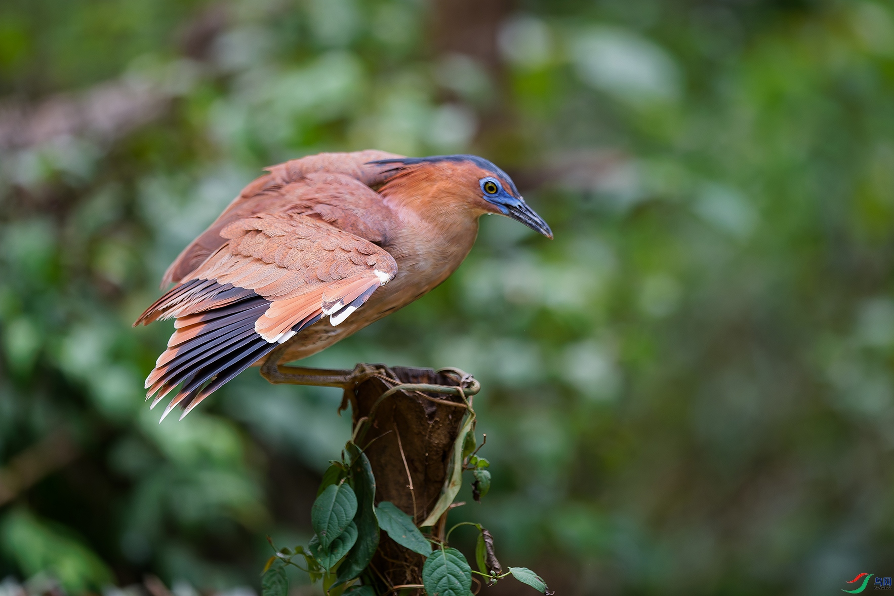 DSC_9859_DxO_DxOa.jpg