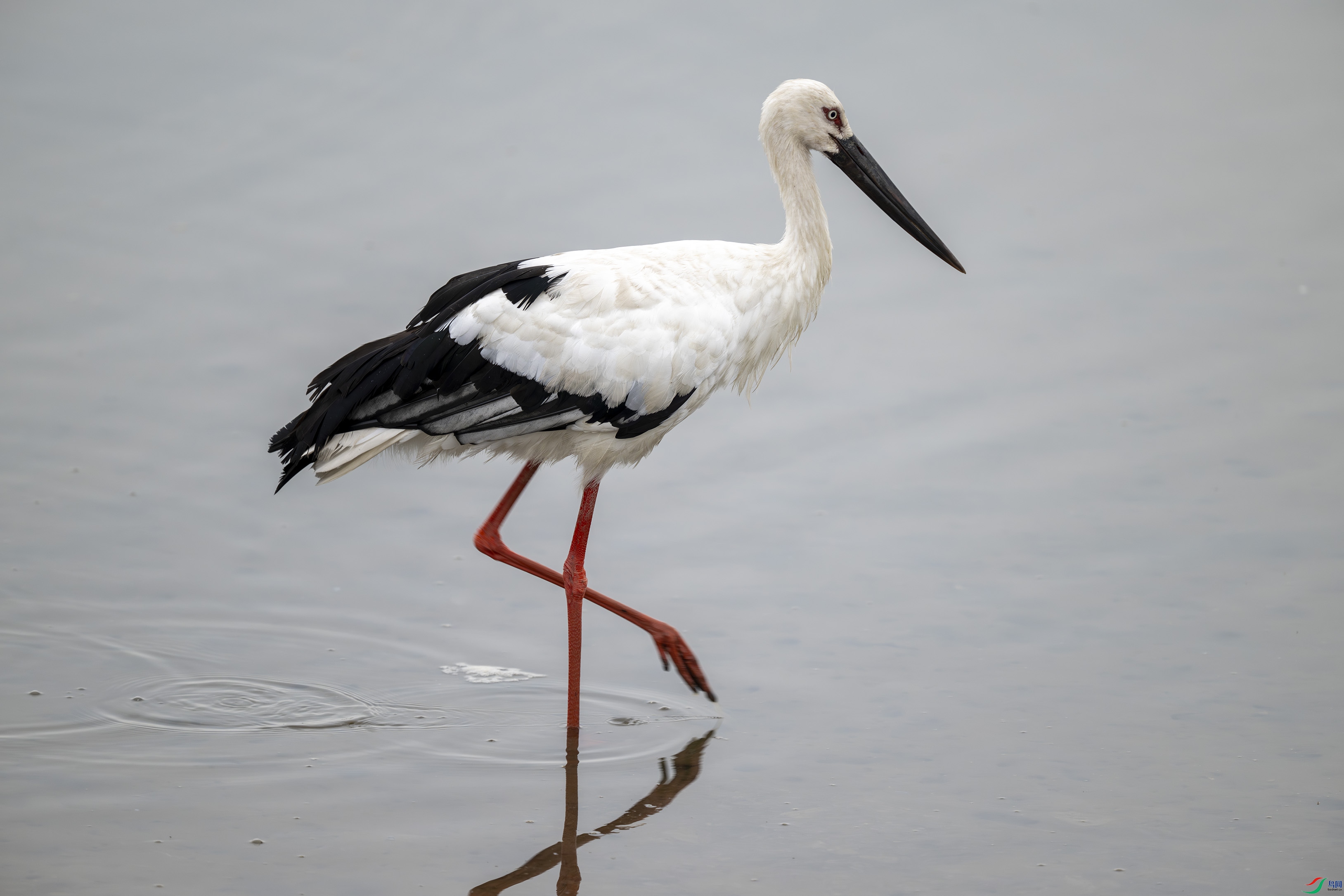 DSC_3694.jpg