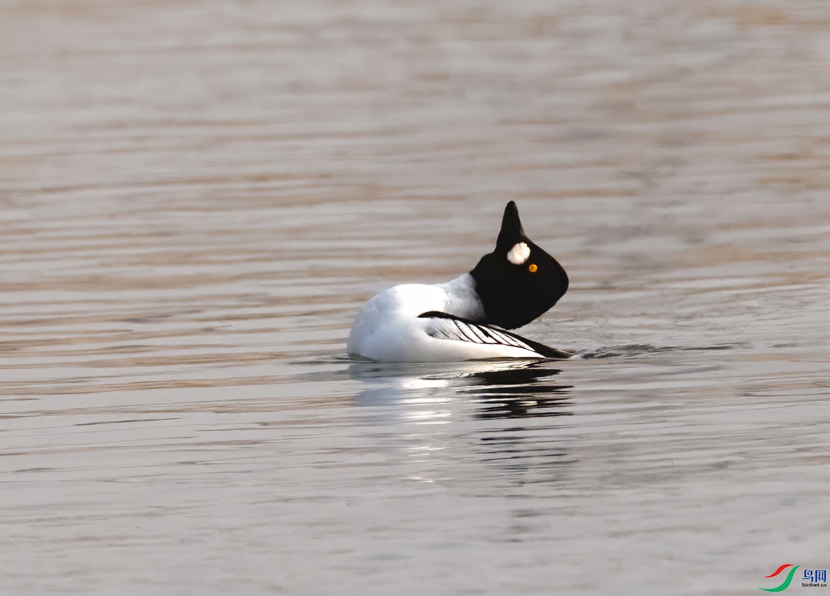 8X2A1456 ���� 2.jpg