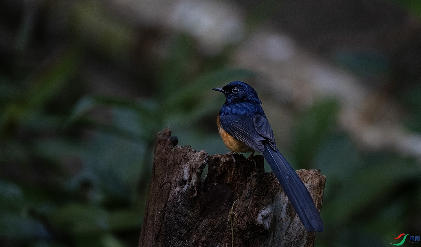 _DSC6971 ����.jpg