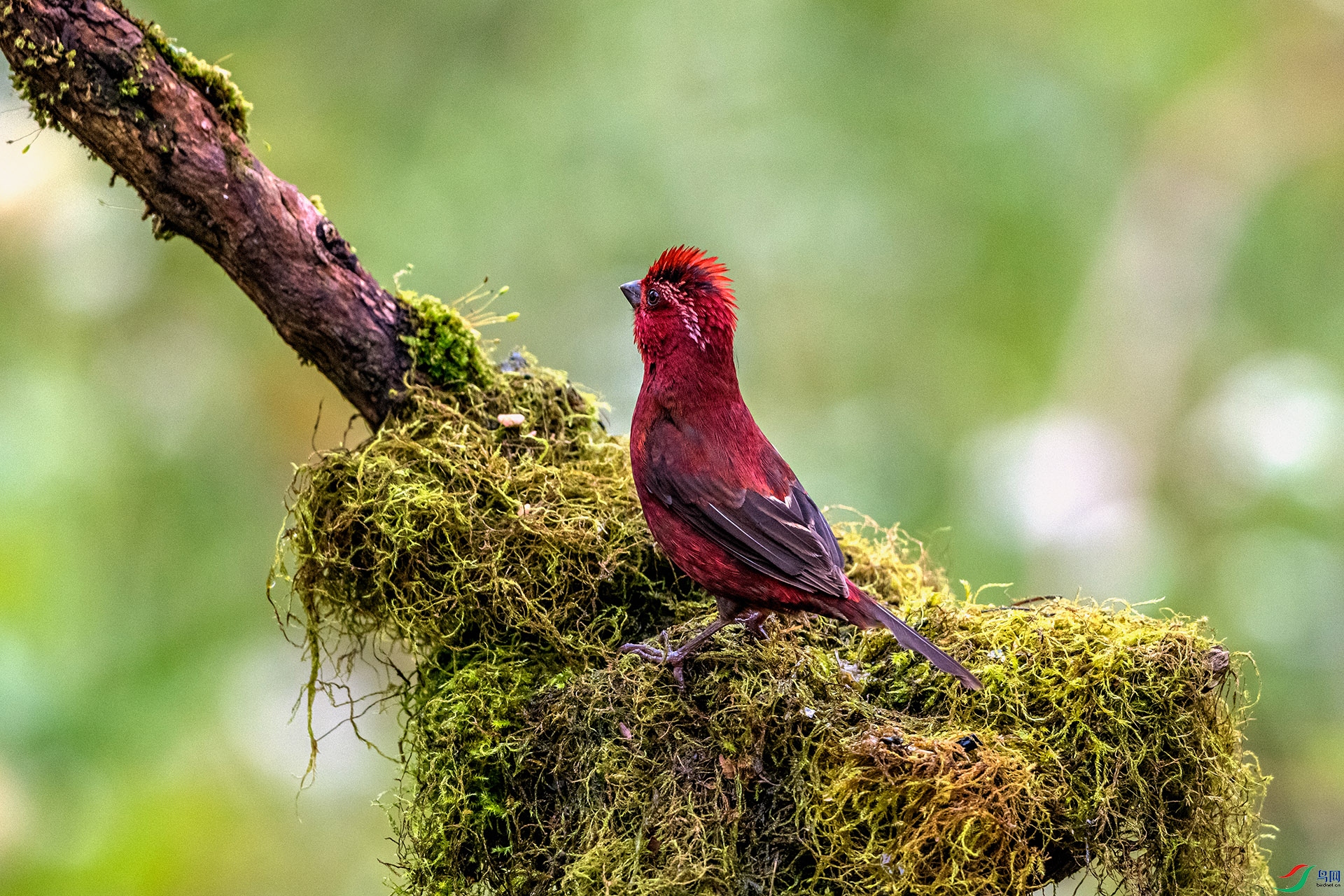 _AUU8958 �ƺ���ȸ(25.8.26).jpg