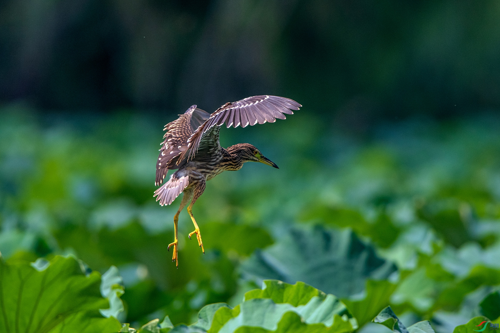 _AUU9846ҹ��(24.8.29).jpg