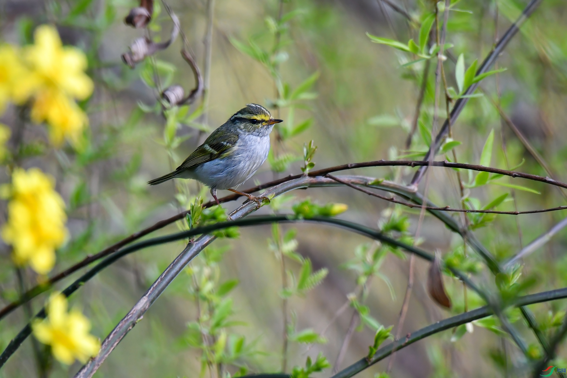 DSC_5505 ���� dsc_5505 ����1.jpg