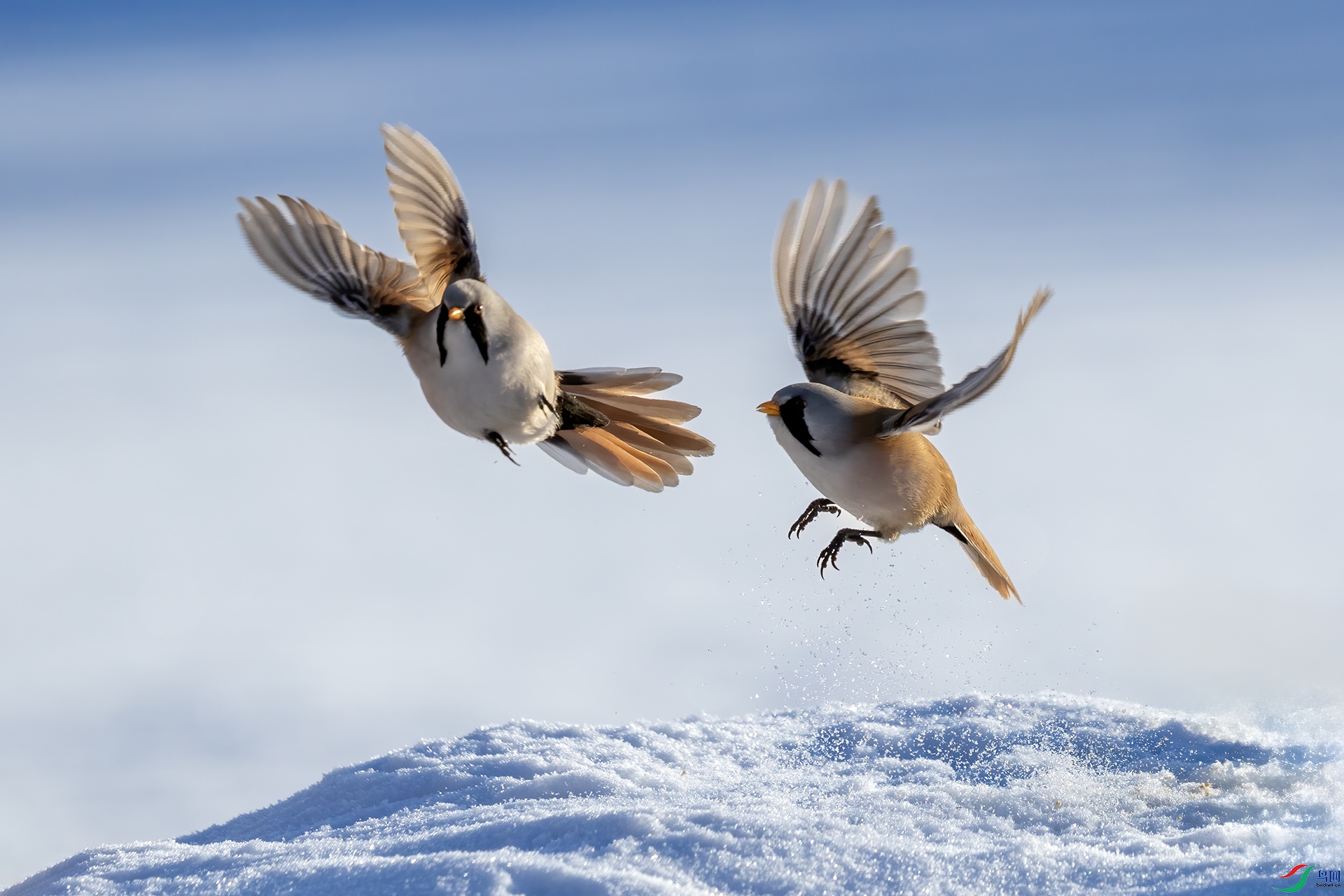 IMG_2669 ����.jpg