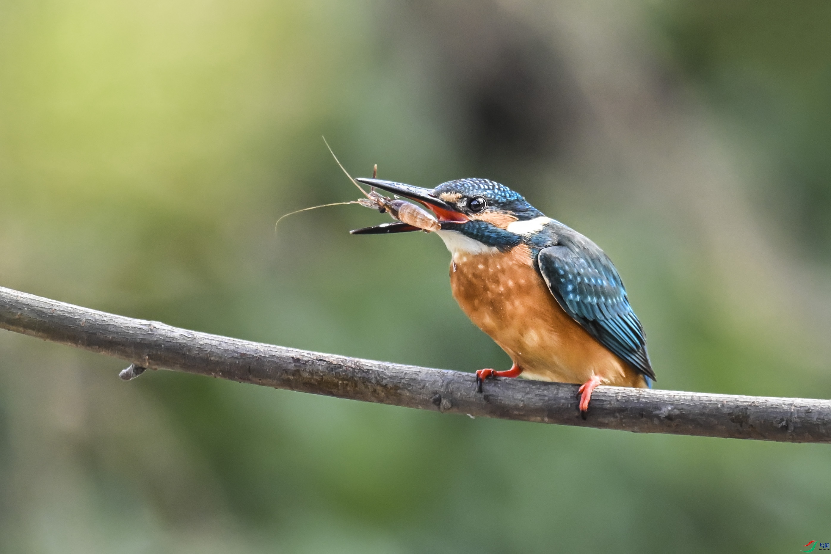 DSC_6779.jpg