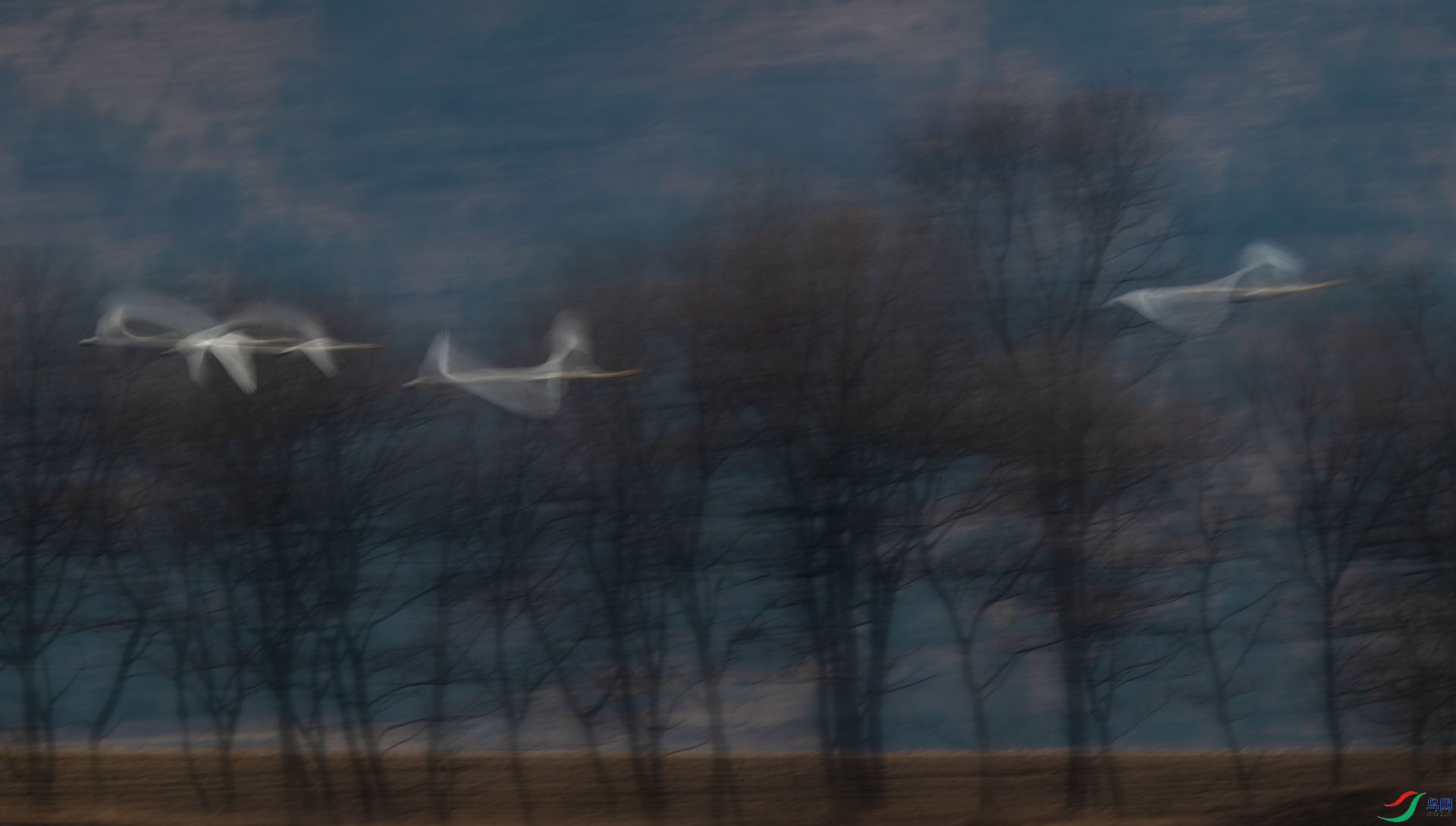 DSC_5693.jpg