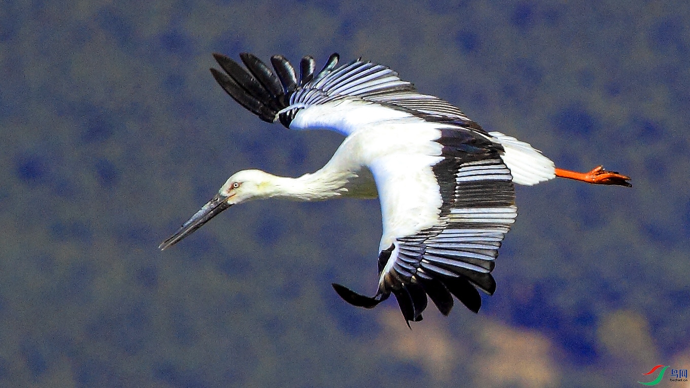 _MG_8848 ����.jpg