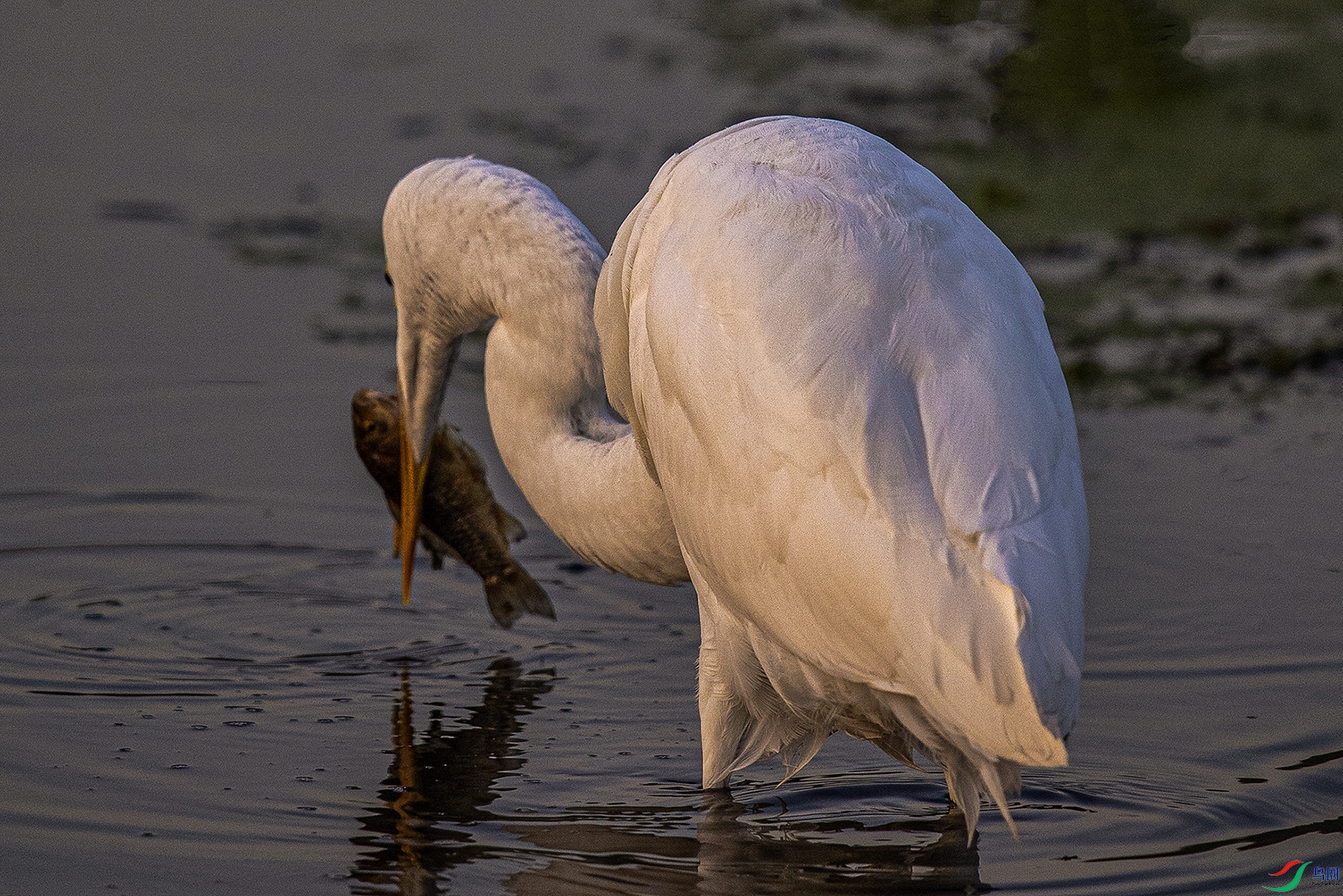 _90I7175 ���� 2.jpg