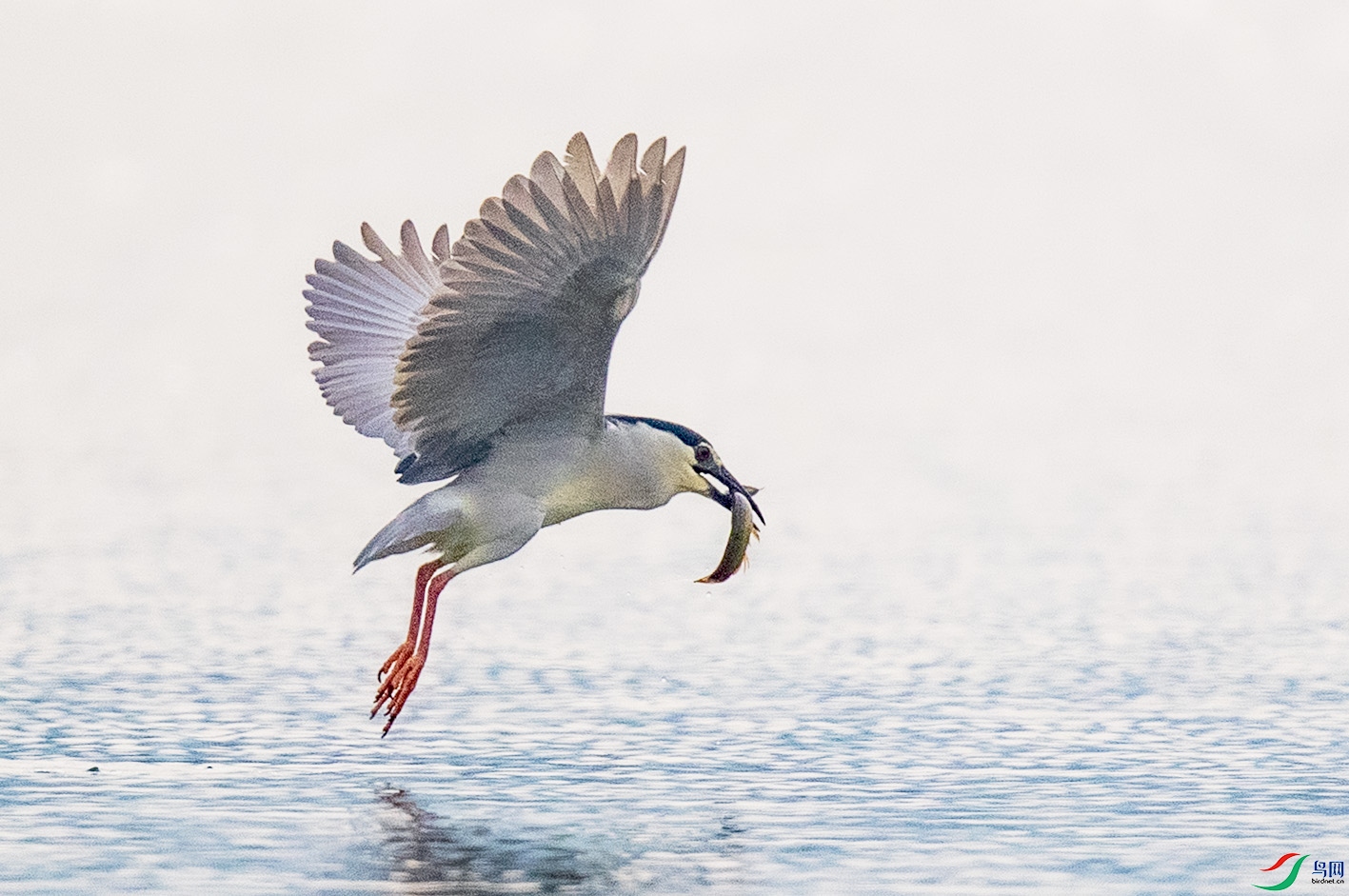 _90I0715 ����.jpg