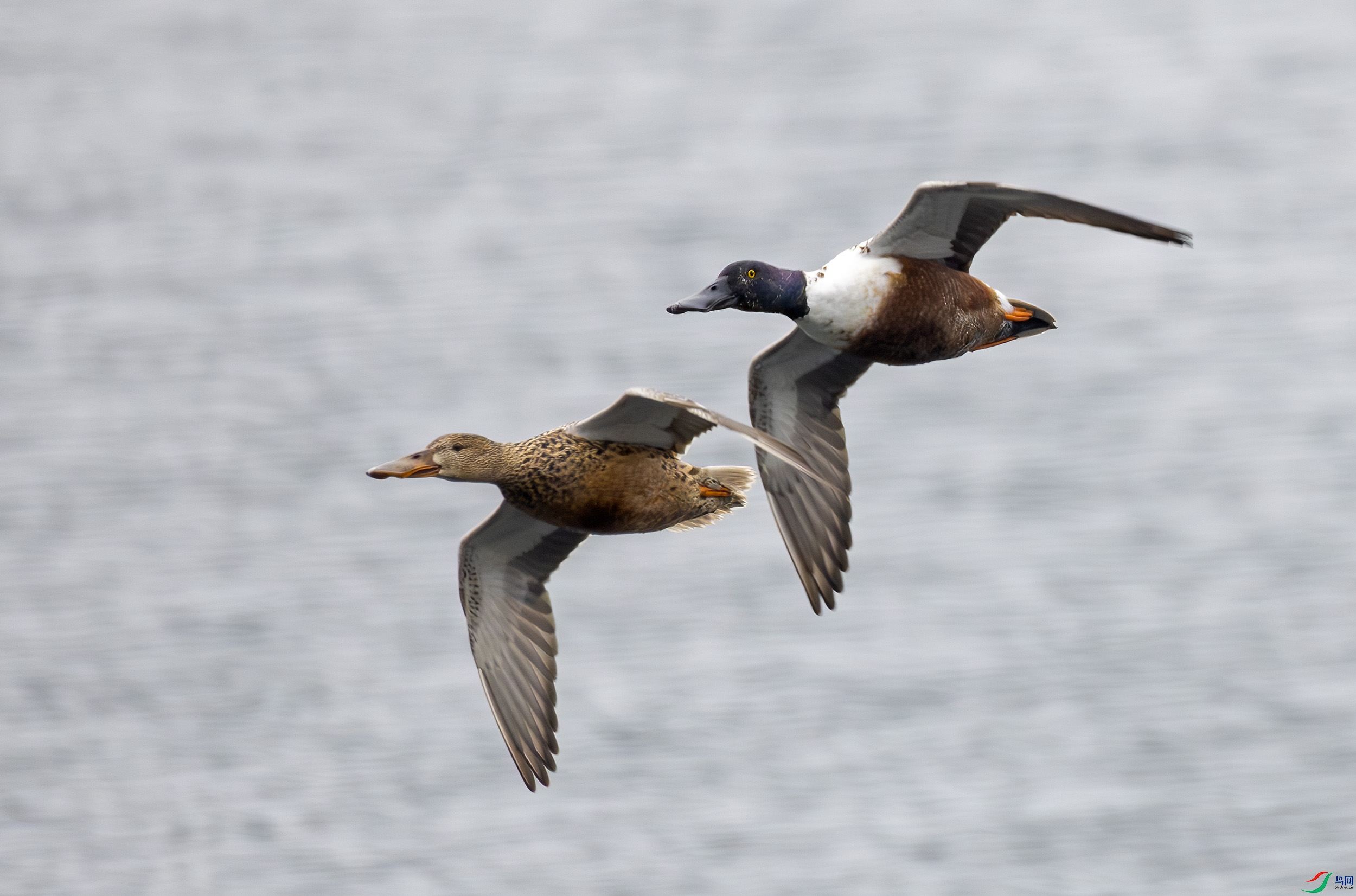 G47A1433-����ǿ-NR ����.jpg