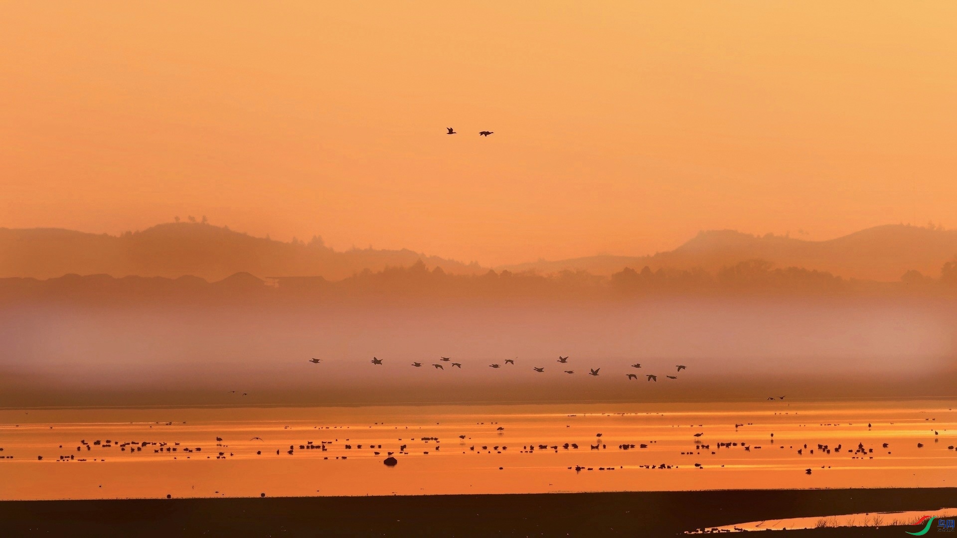 ۶�����������