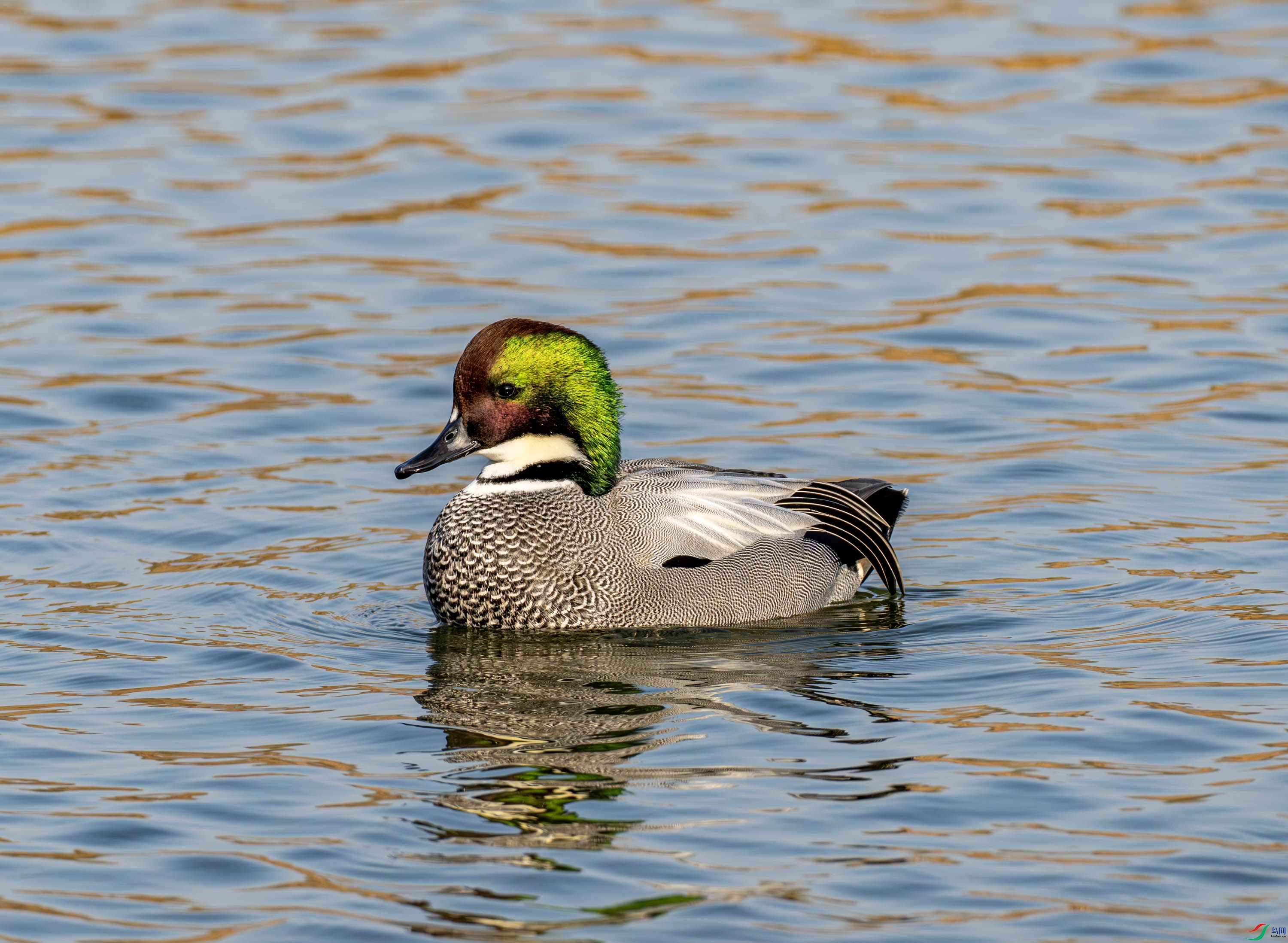 ����Ѽ-01-1 (20).jpg