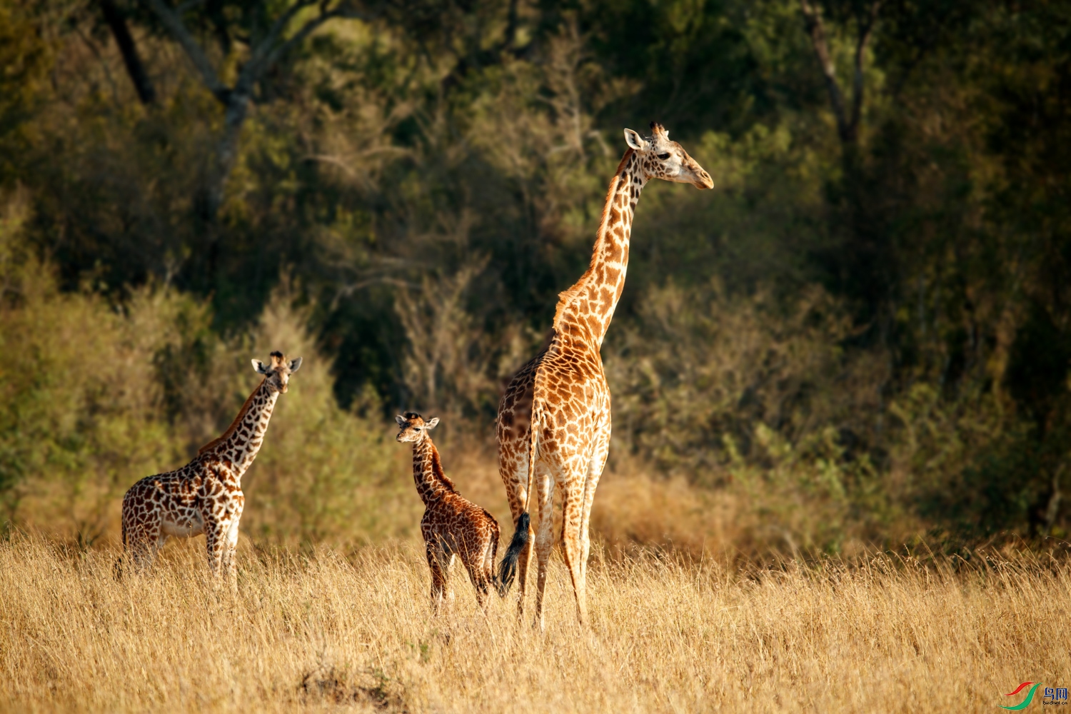 AQ9I0601 ����.jpg