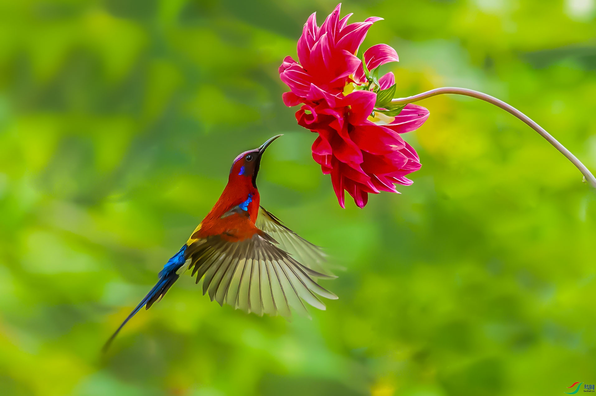 _24I1930-�ָ��� ����.jpg