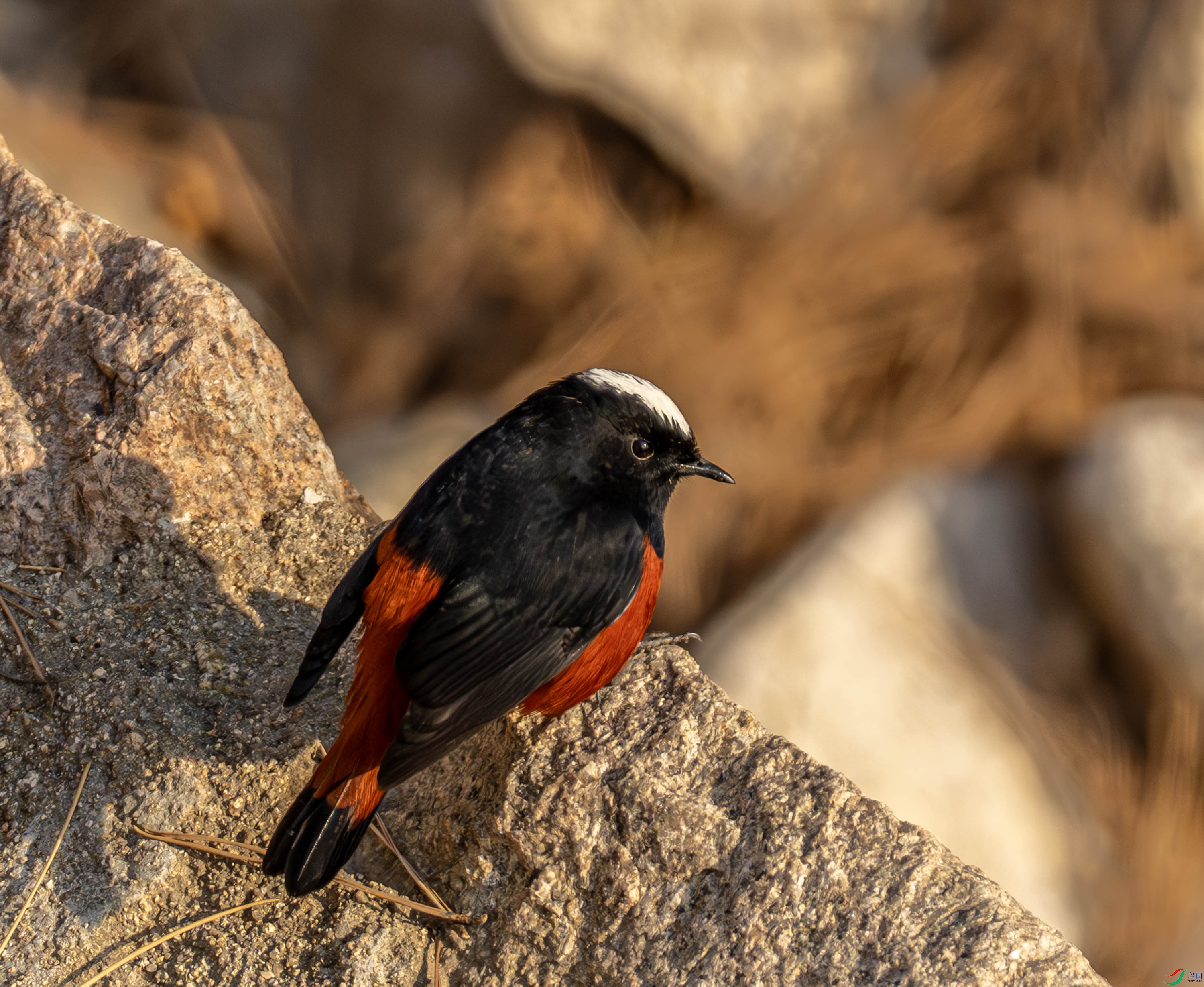 �׶�Ϫ�-01 (3 - 7).jpg