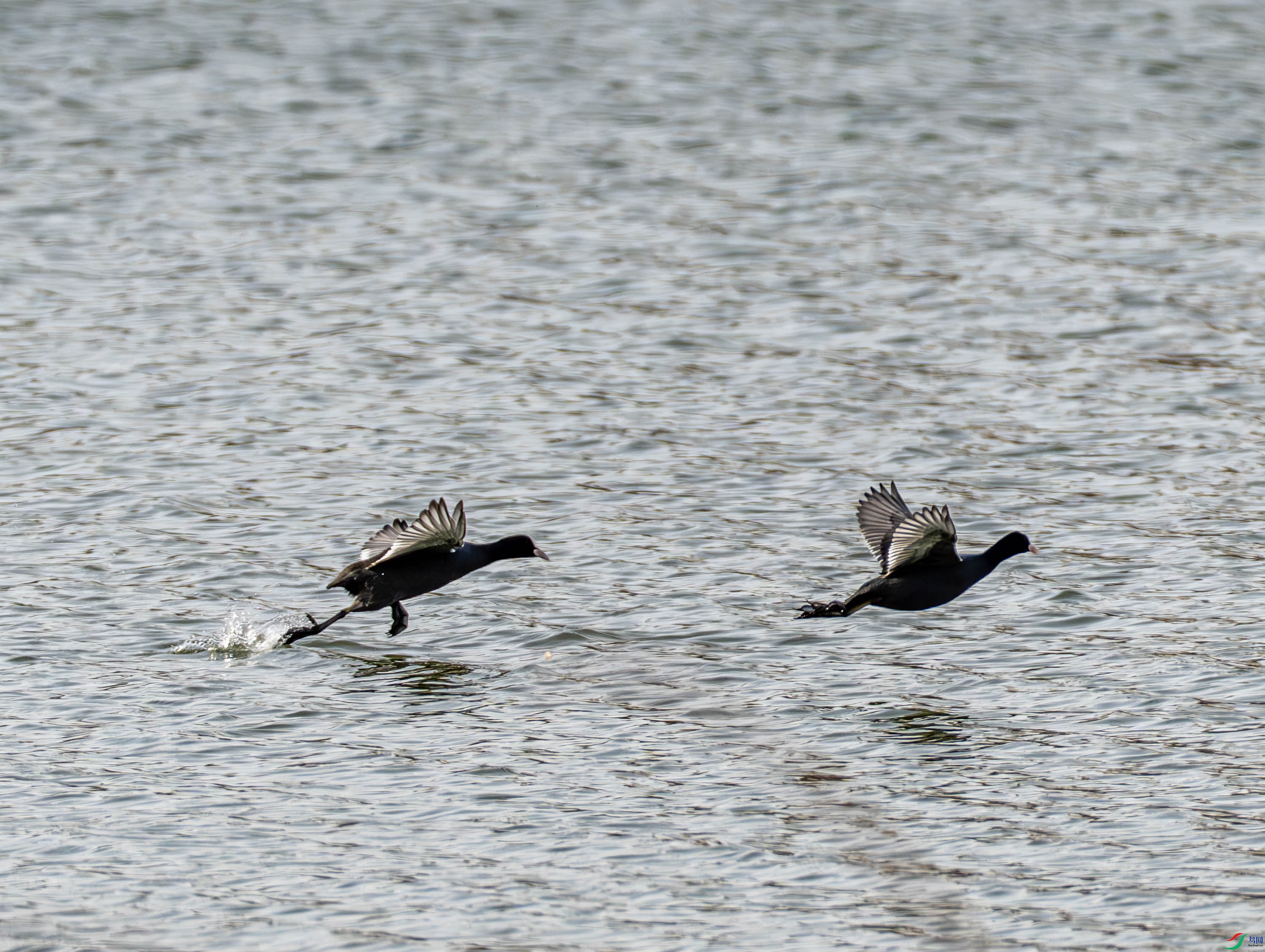 �׹Ƕ�-01 (3 - 6).jpg