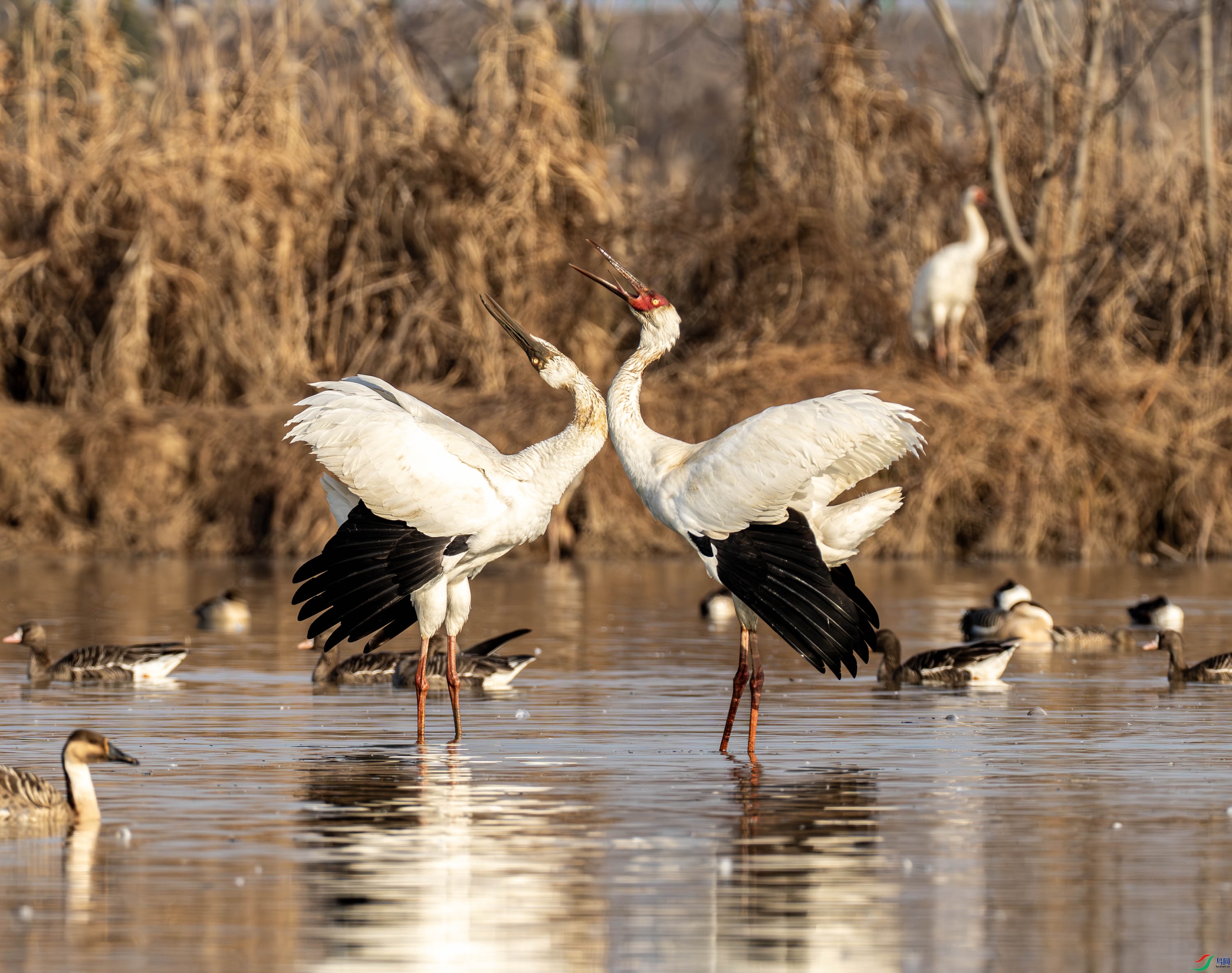 �׺�-01 (2 - 15).jpg