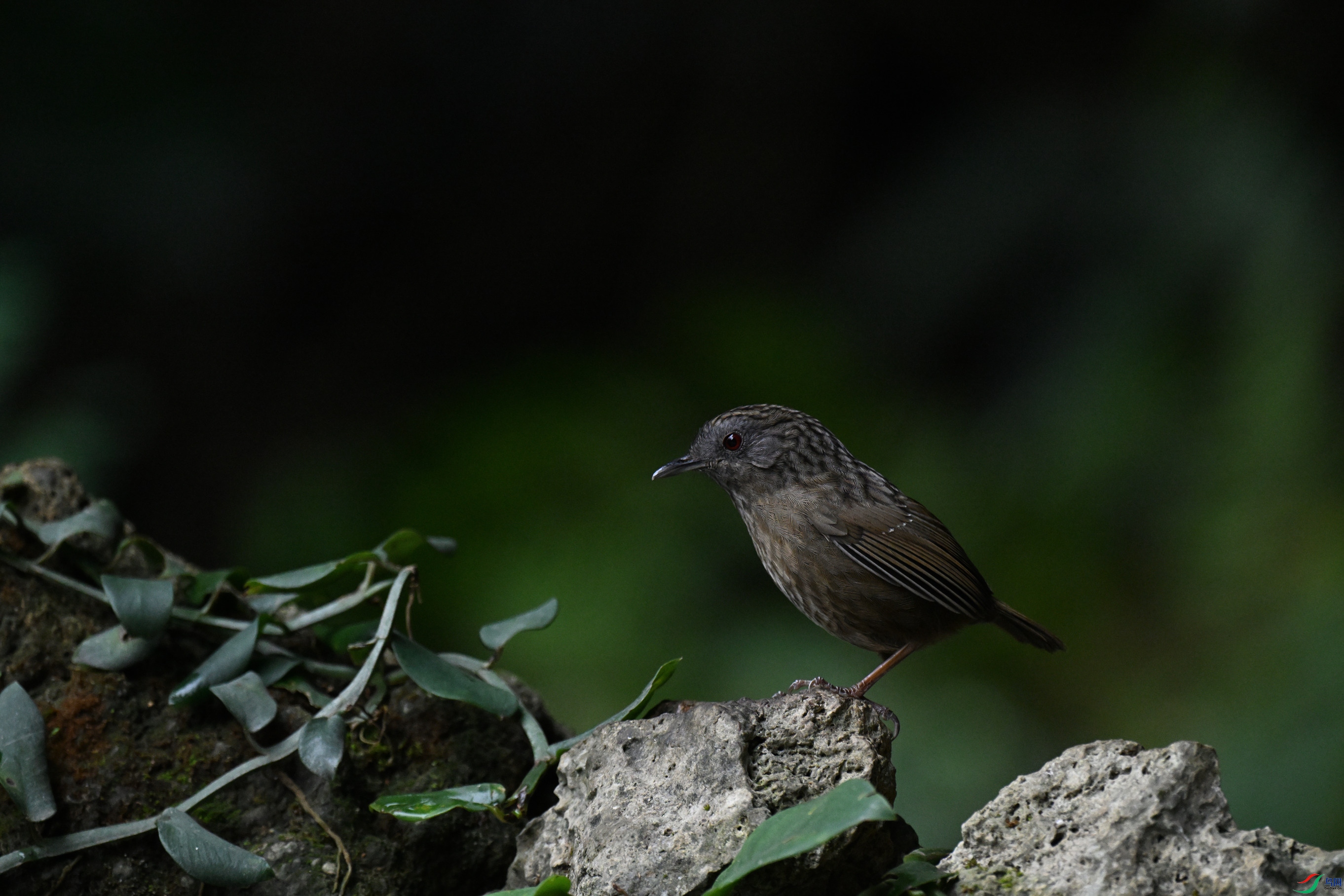DSC_8408_����.jpg