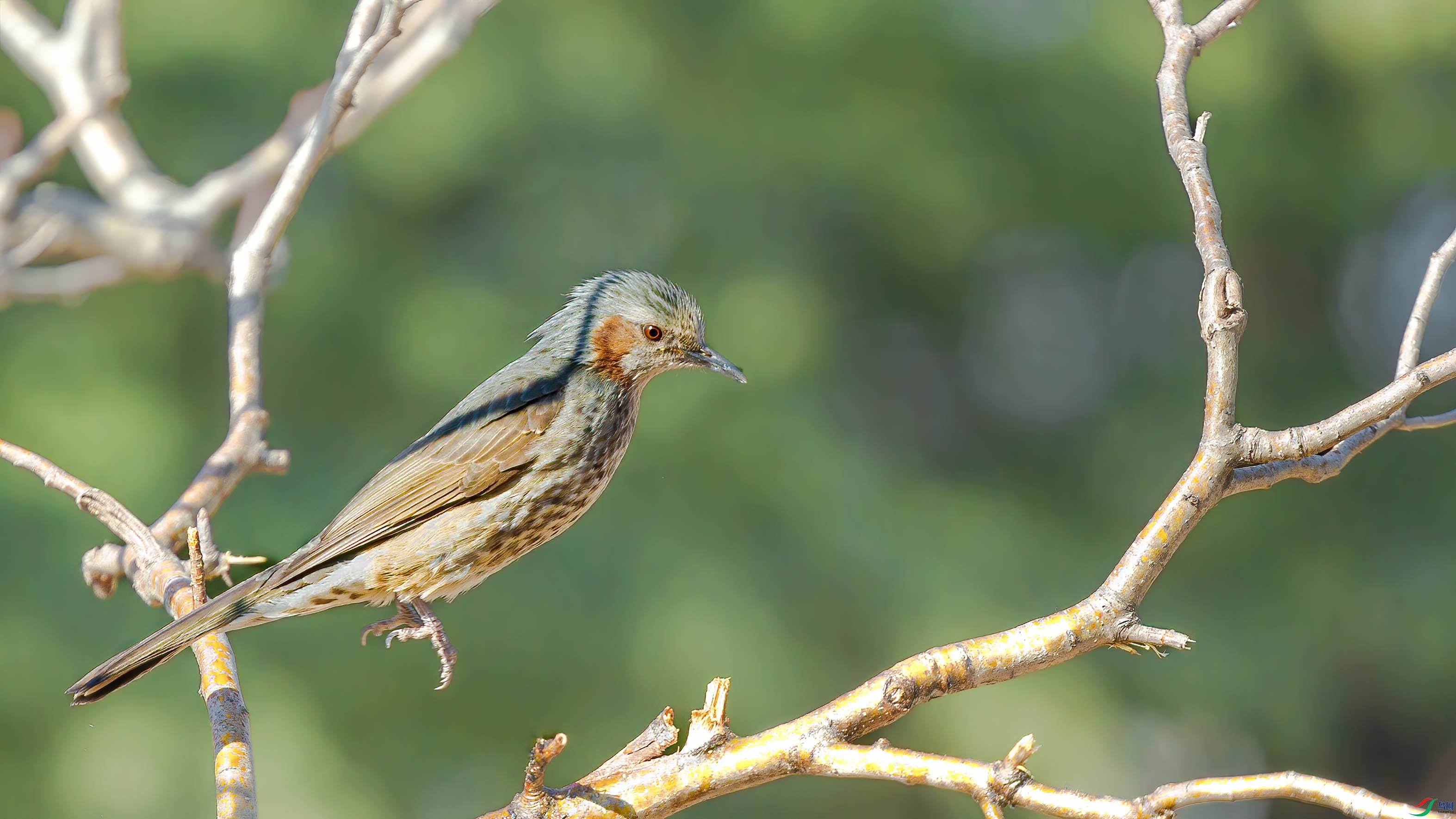 AQ4P2959-1.jpg