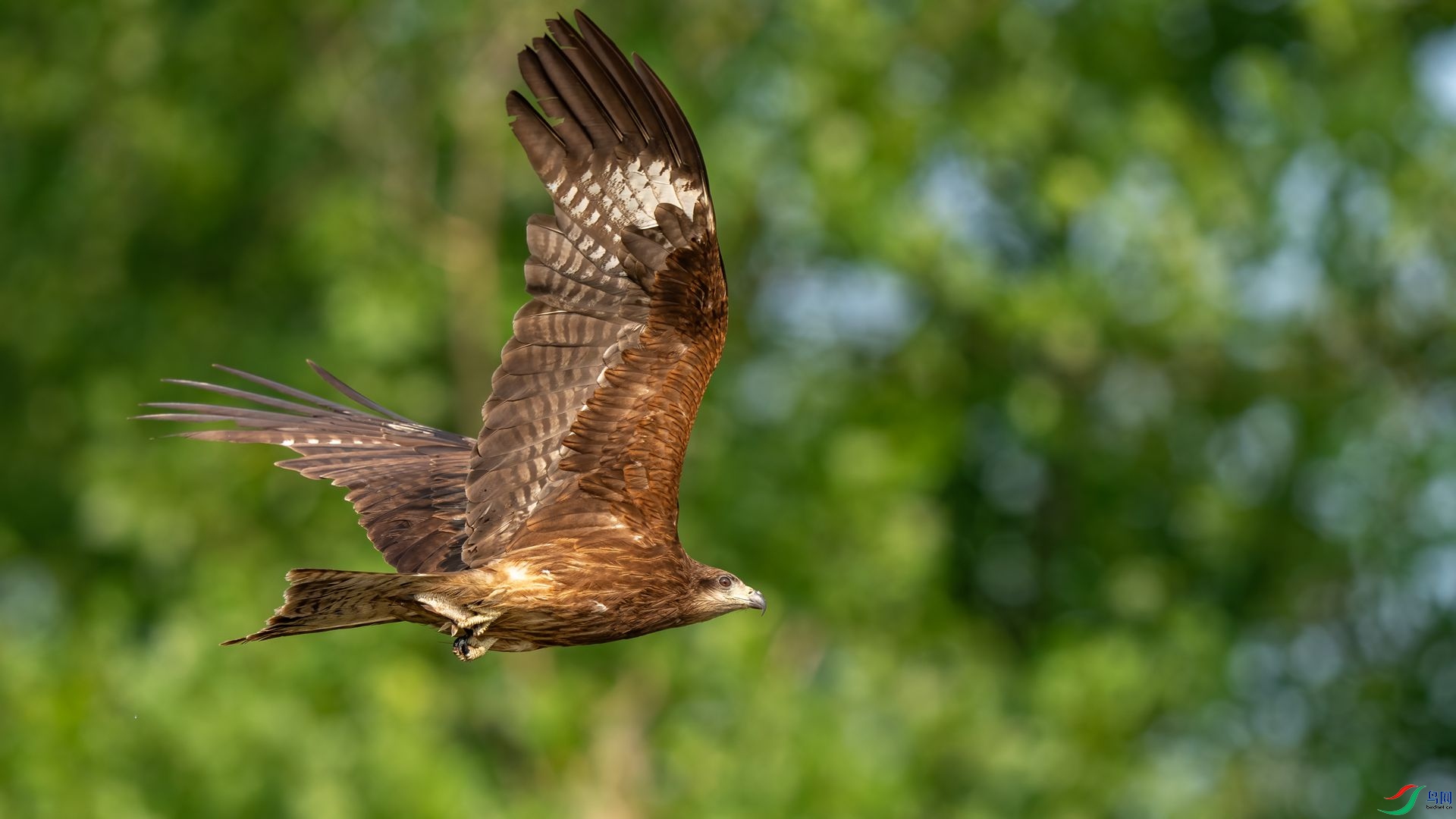 DSC06797 ����.jpg