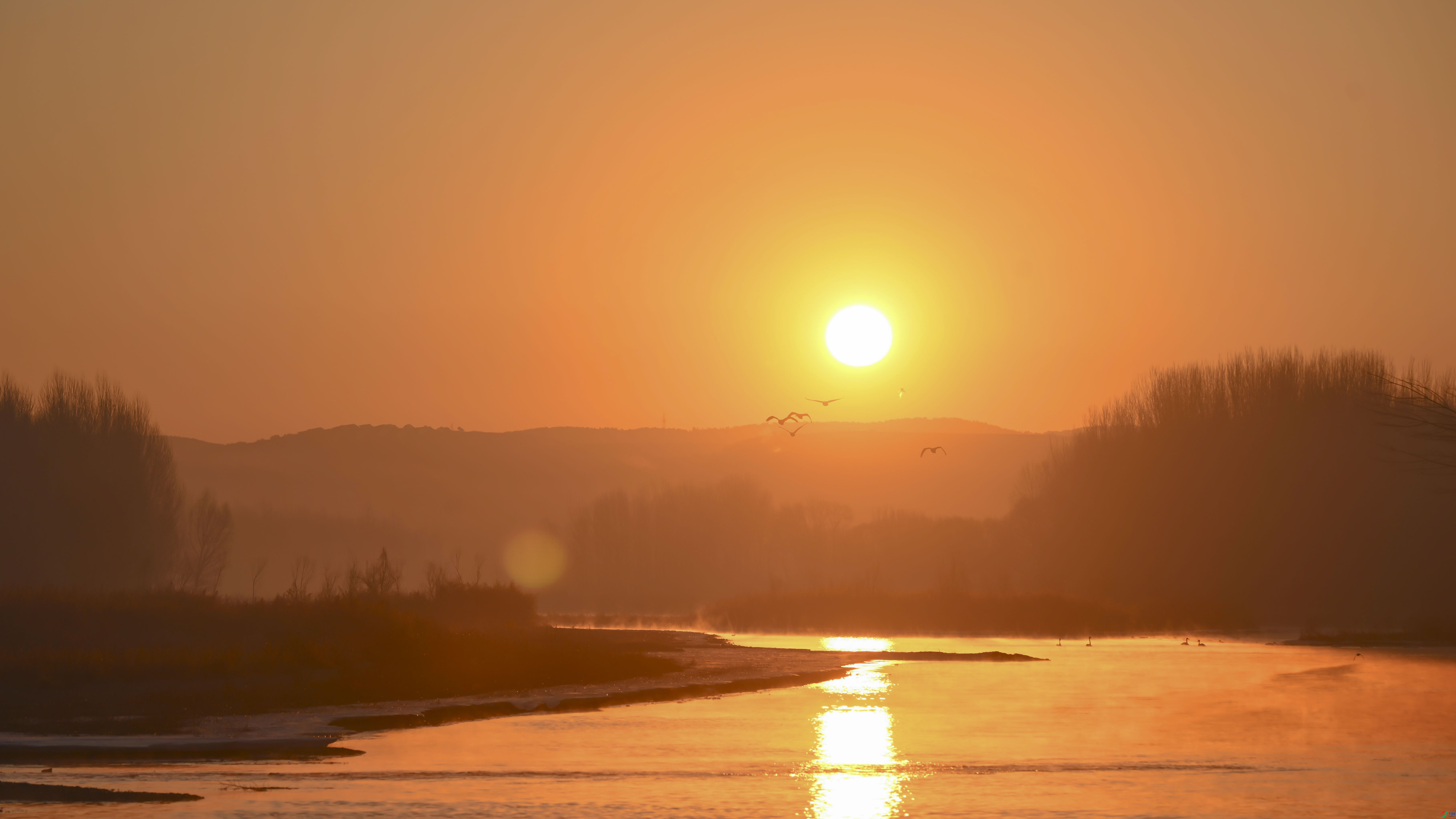 DSC_3559_����_1.jpg