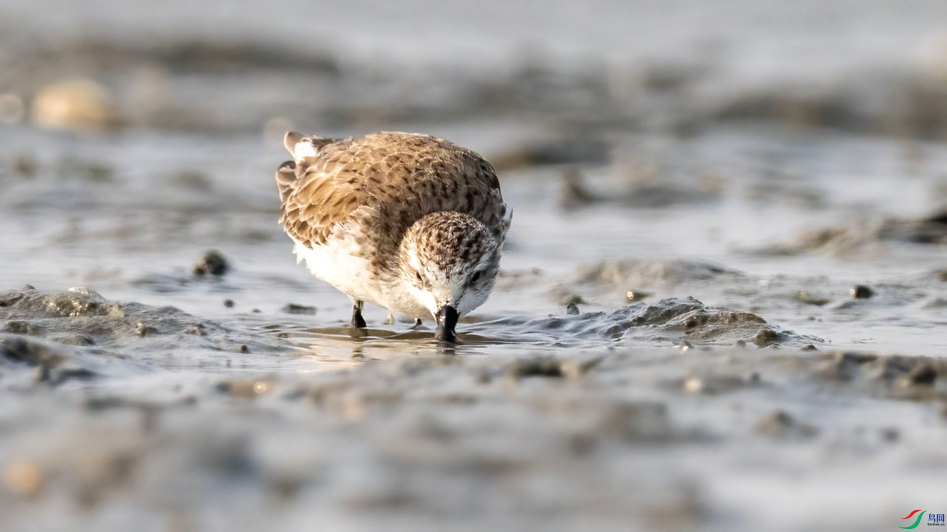 _DSC9970 ����.jpg