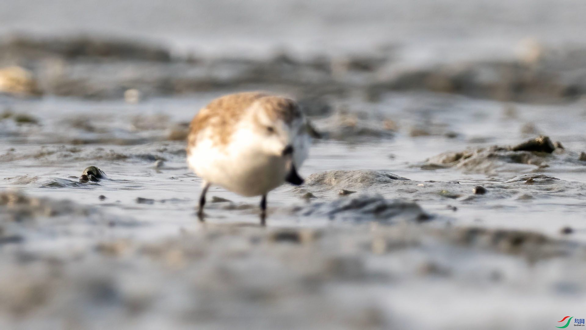 _DSC9978 ����.jpg