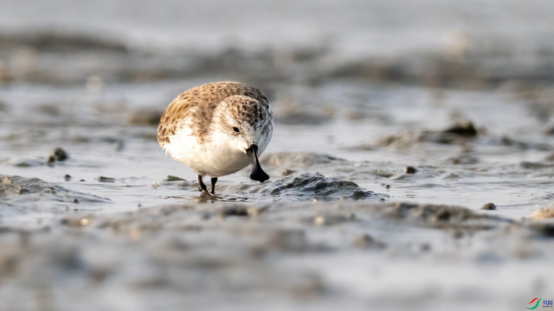 _DSC9981 ����.jpg