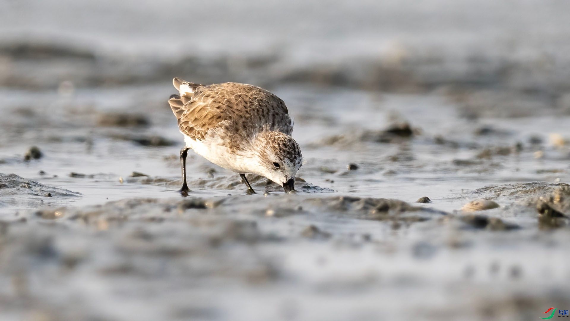 _DSC9988 ����.jpg