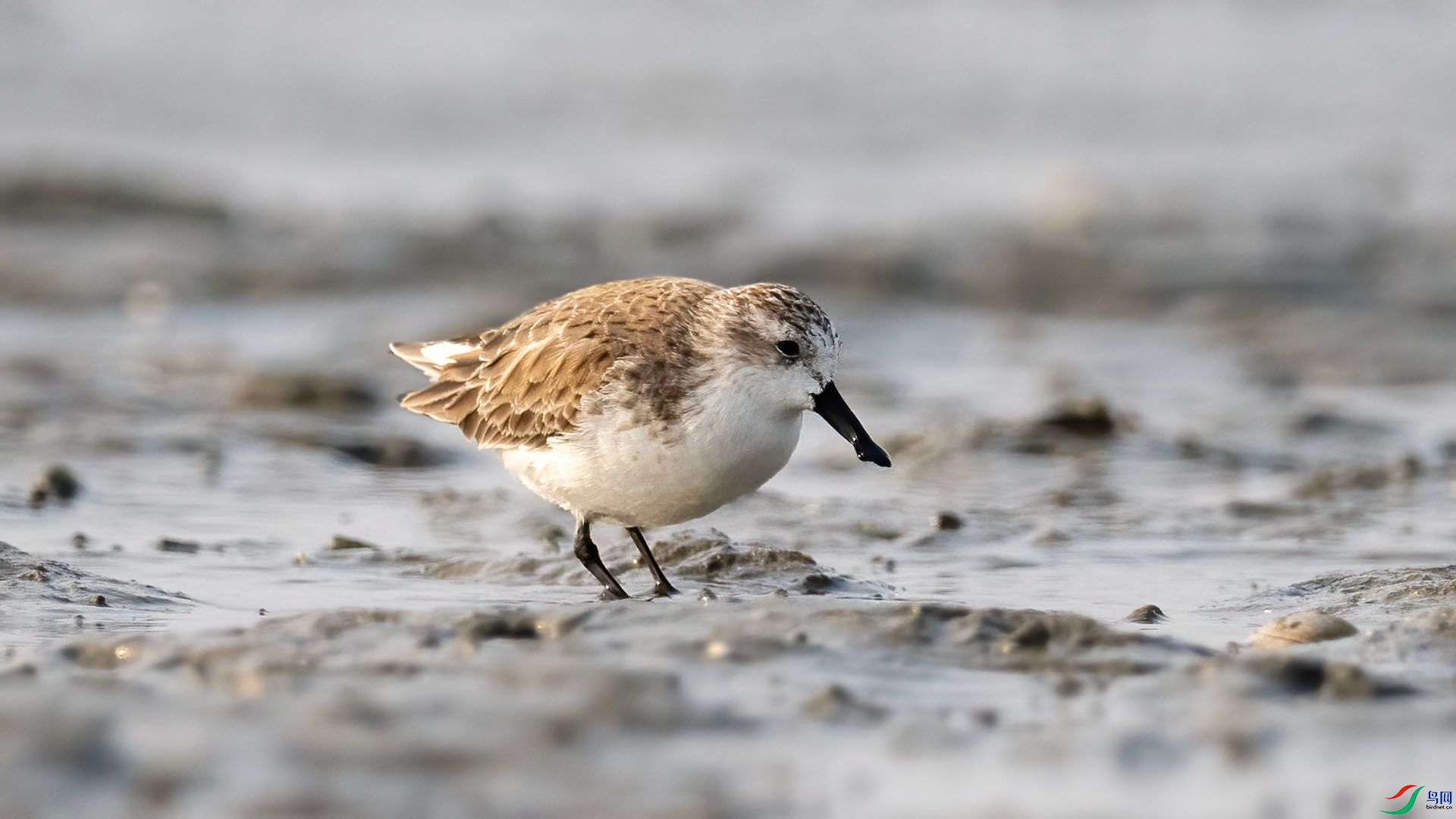 _DSC9991 ����.jpg