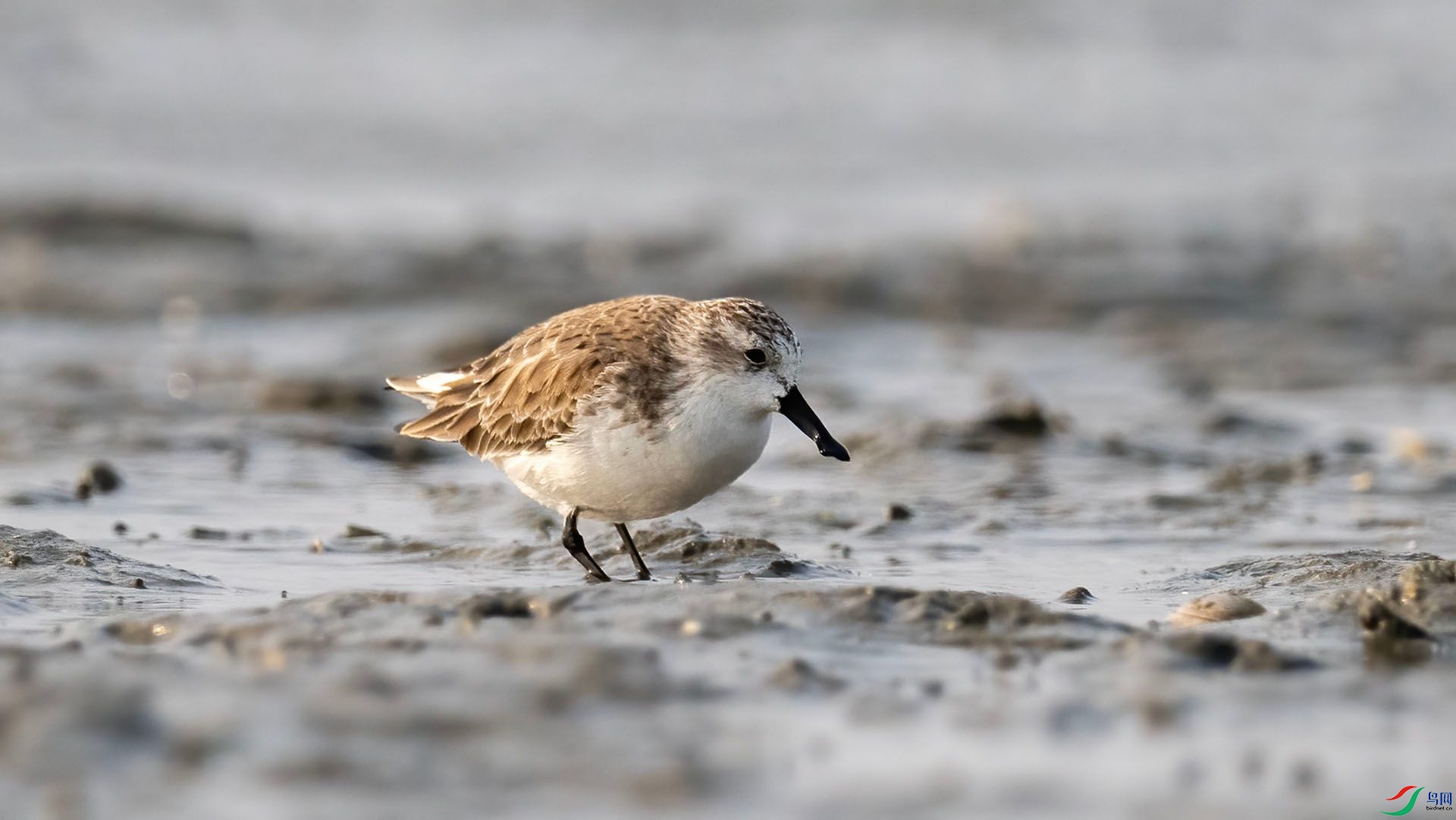 _DSC9993 ����.jpg