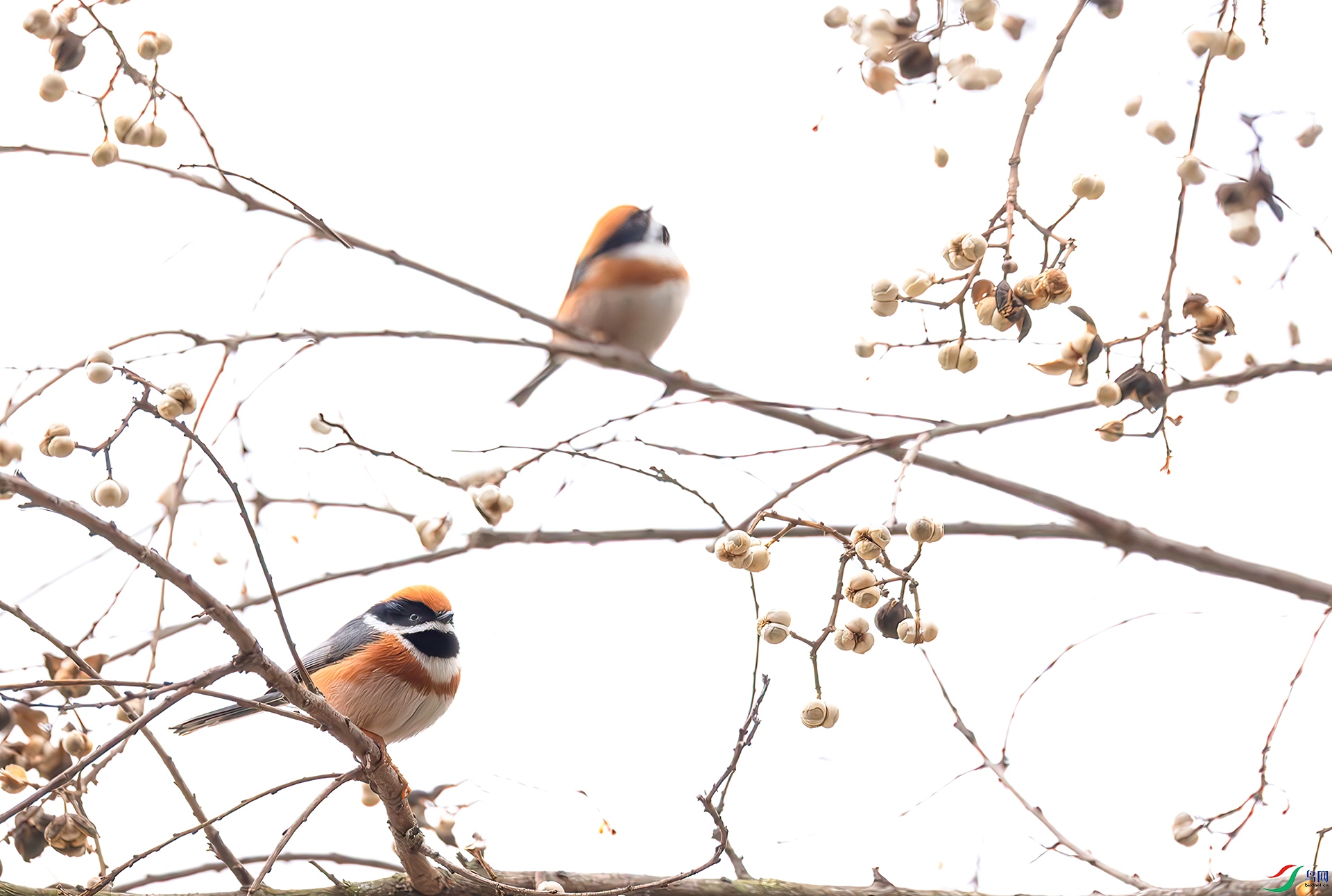 407A6852----33  .jpg